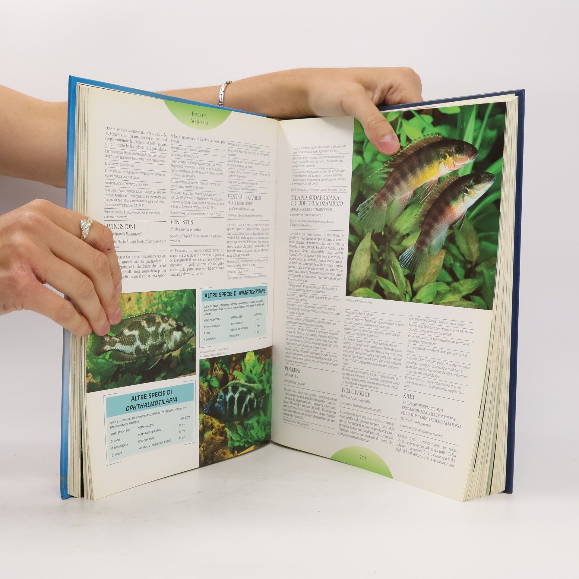 John Dawes Il grande libro dell'acquario