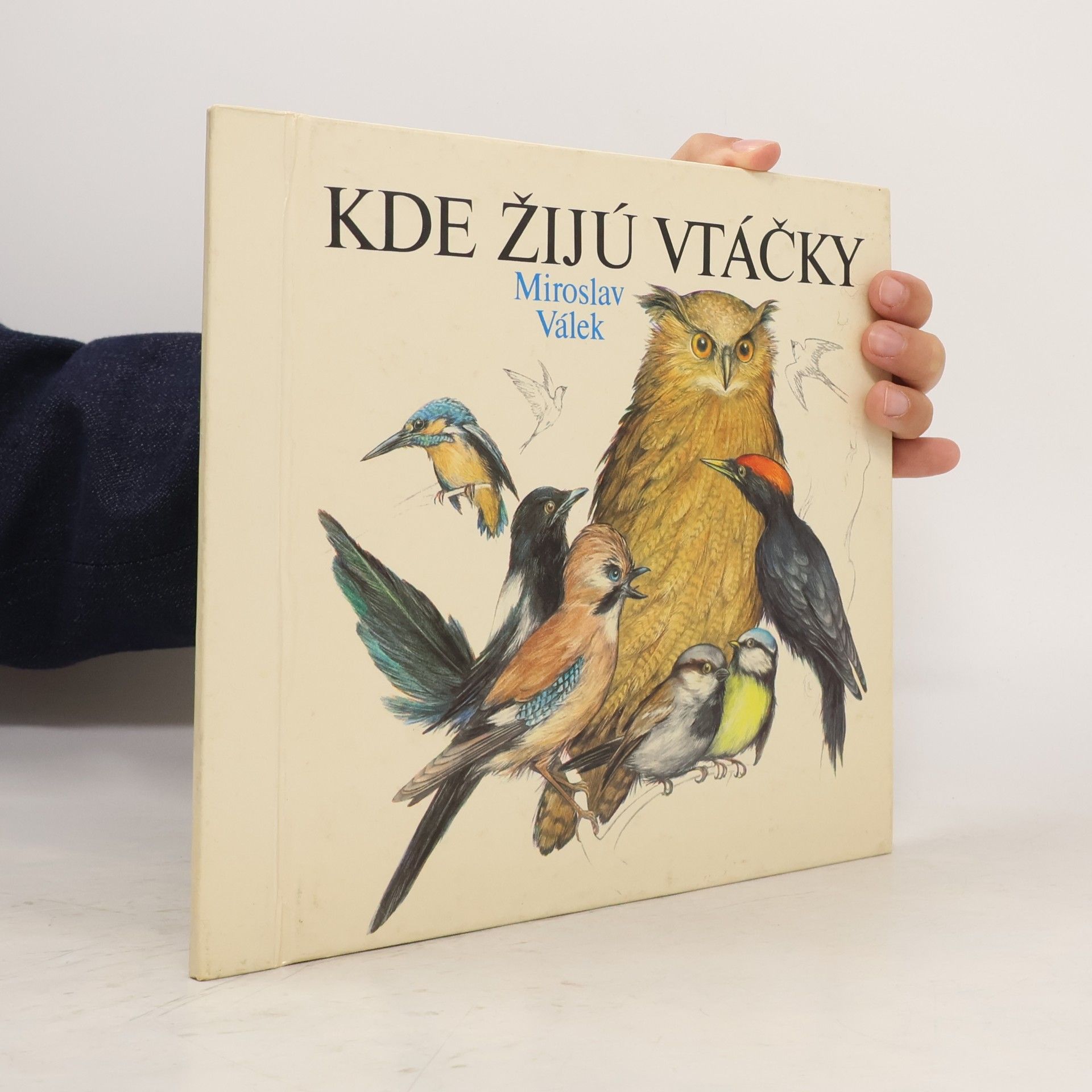 Kde žijú vtáčky