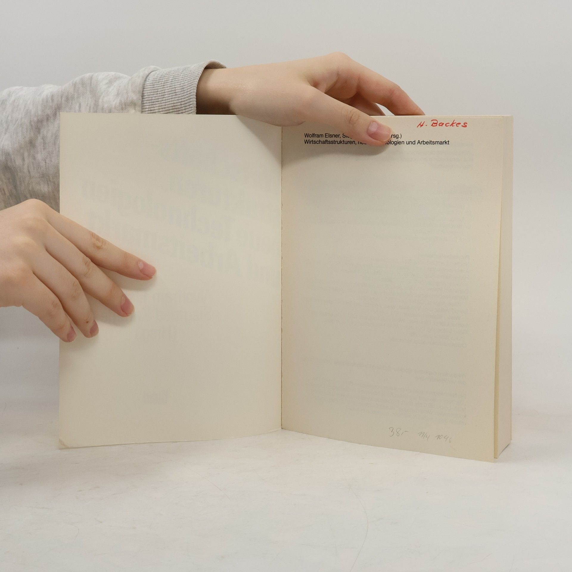 Wolfram Elsner Wirtschaftsstrukturen, neue Technologien und Arbeitsmarkt
