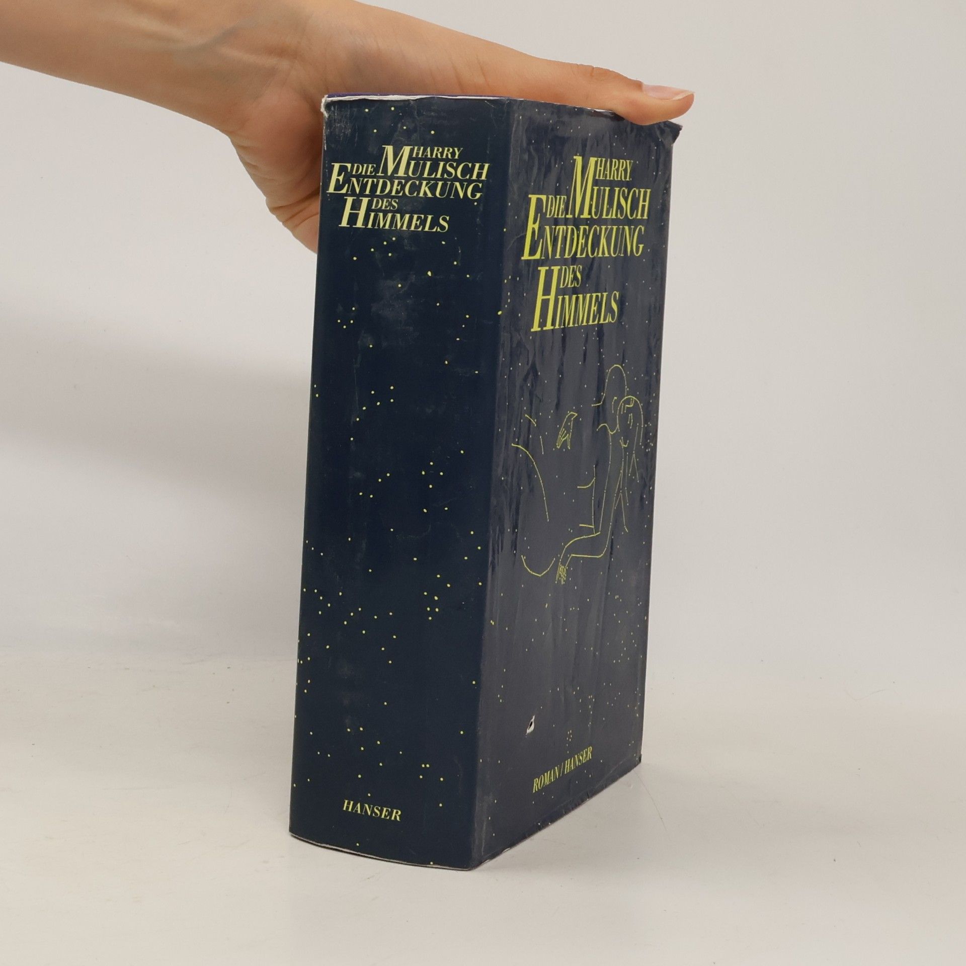 Harry Mulisch Die Entdeckung des Himmels