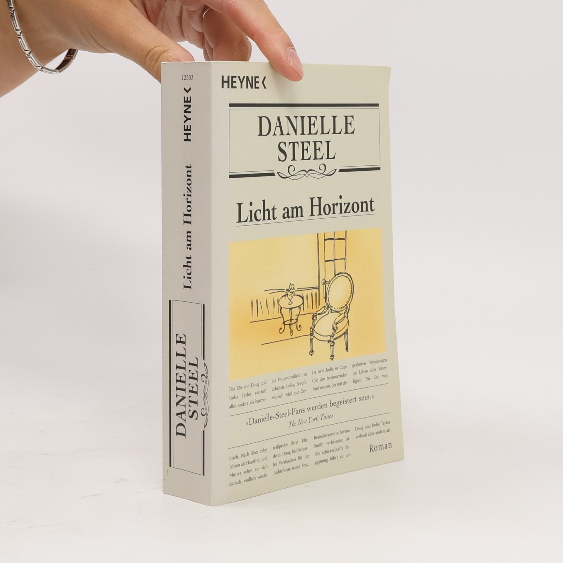 Danielle Steel Licht am Horizont