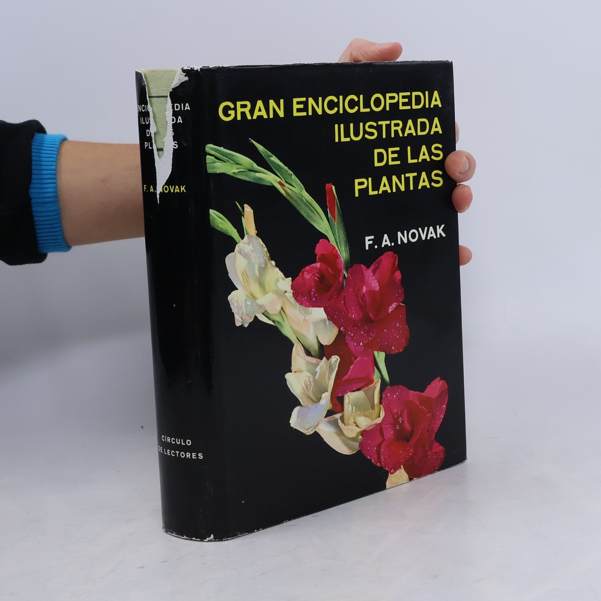 Novák F. A. Gran enciclopedia ilustrada de las plantas