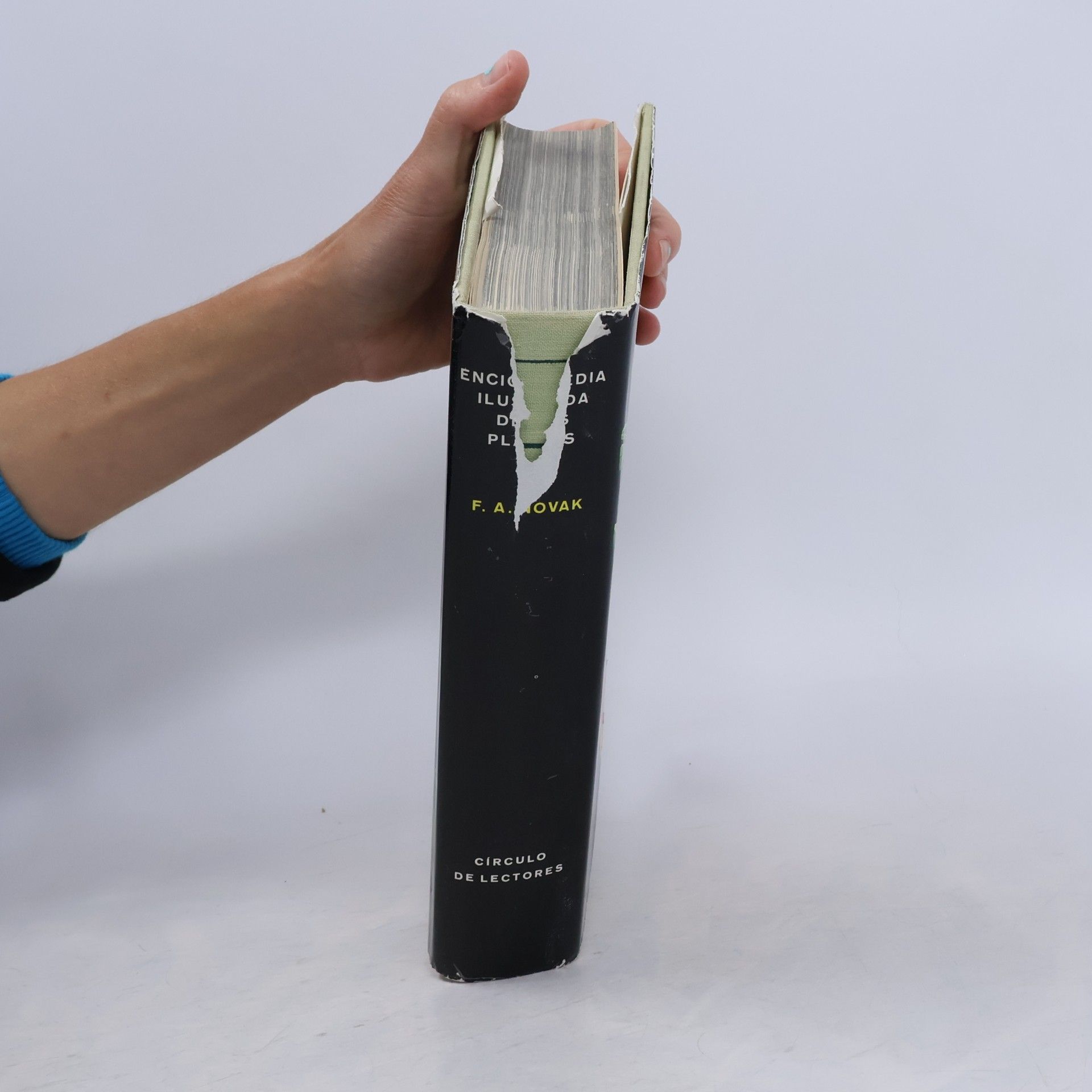 Novák F. A. Gran enciclopedia ilustrada de las plantas