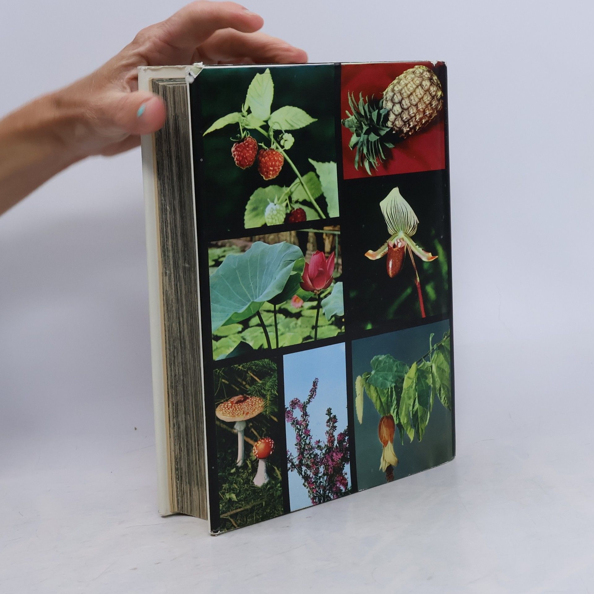 Novák F. A. Gran enciclopedia ilustrada de las plantas