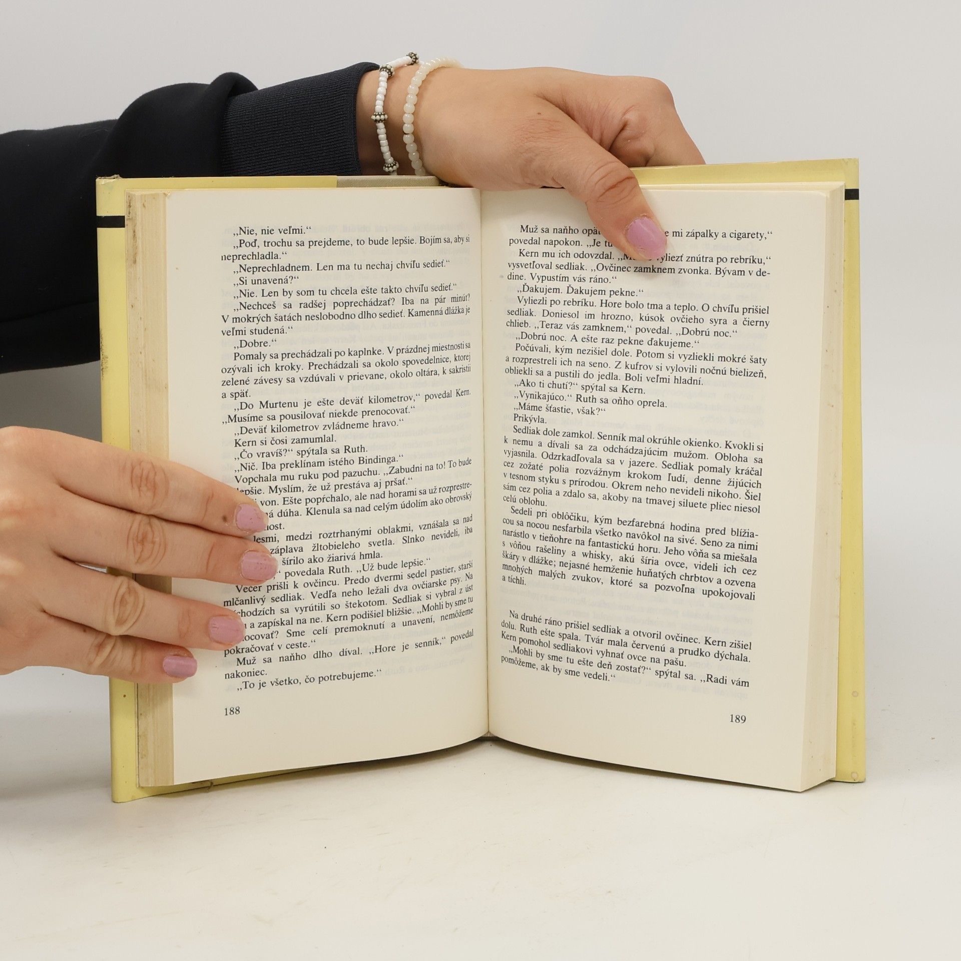 Erich Maria Remarque Miluj blížneho svojho