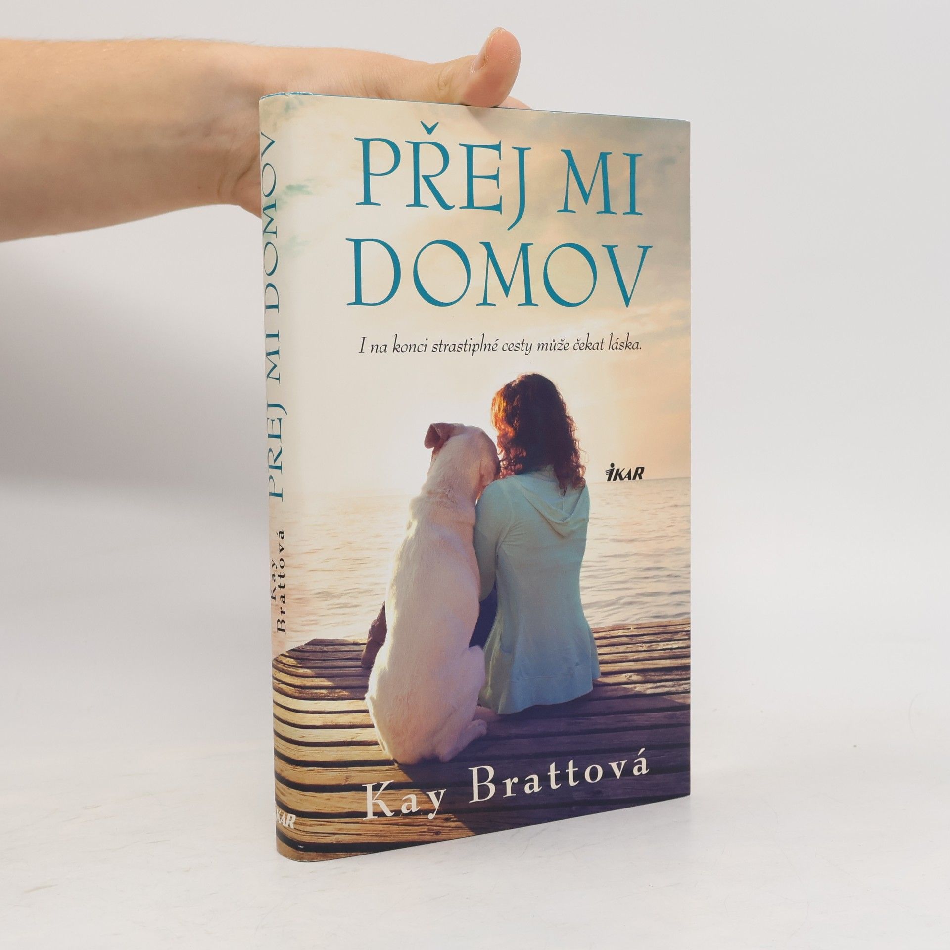 Kay Bratt Přej mi domov