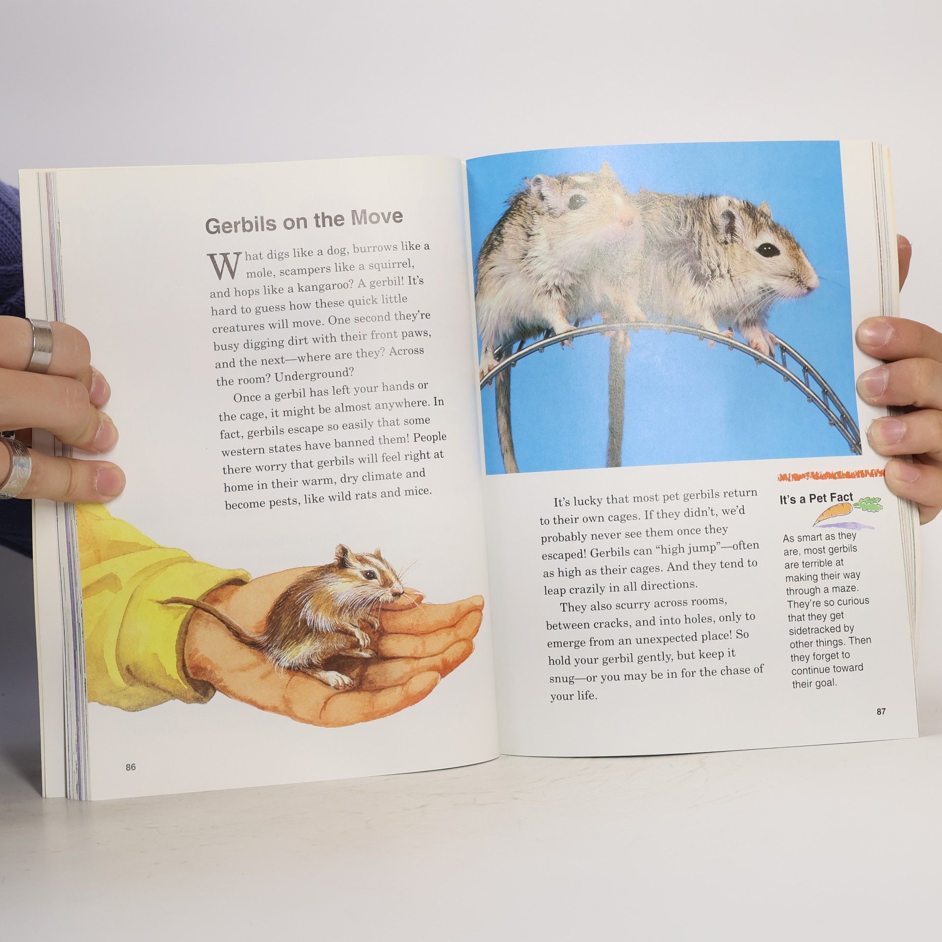 Autorenkollektiv Pets and other animals : a supplement to Childcraft - the how and why library