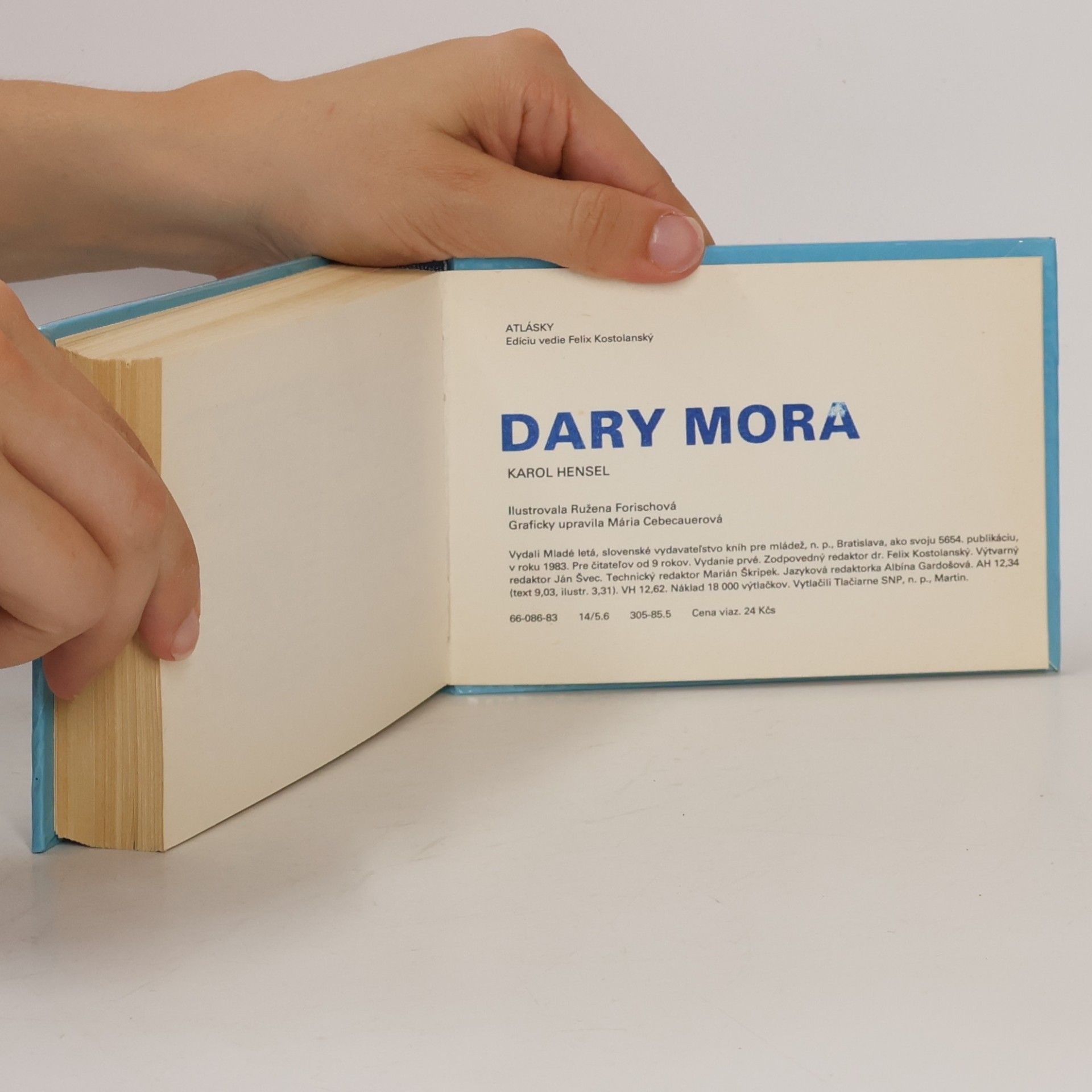 Karol Hensel Dary mora