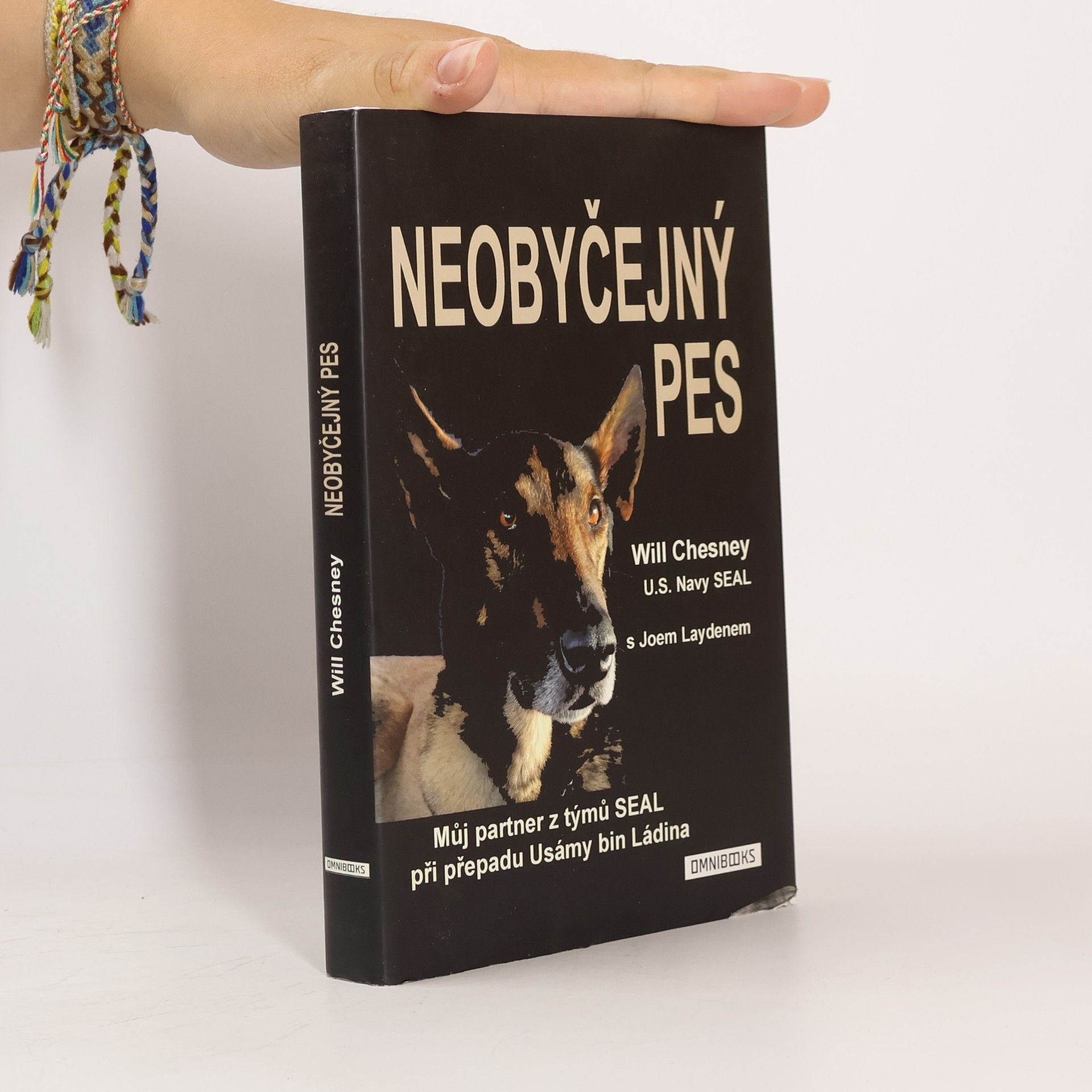 Will Chesney Neobyčejný pes