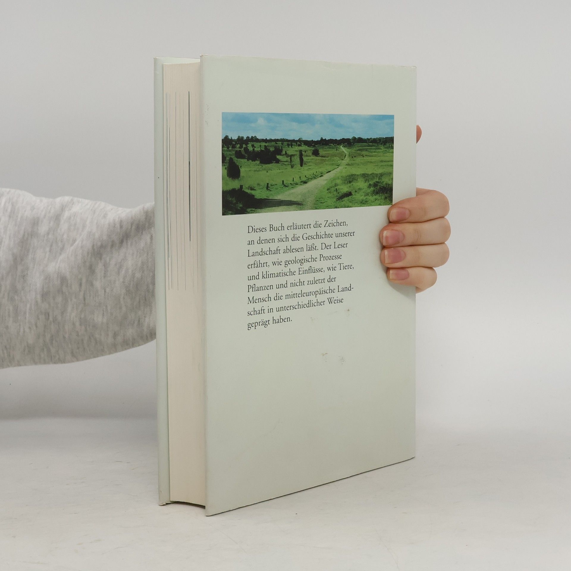 Hansjörg Küster Geschichte der Landschaft in Mitteleuropa