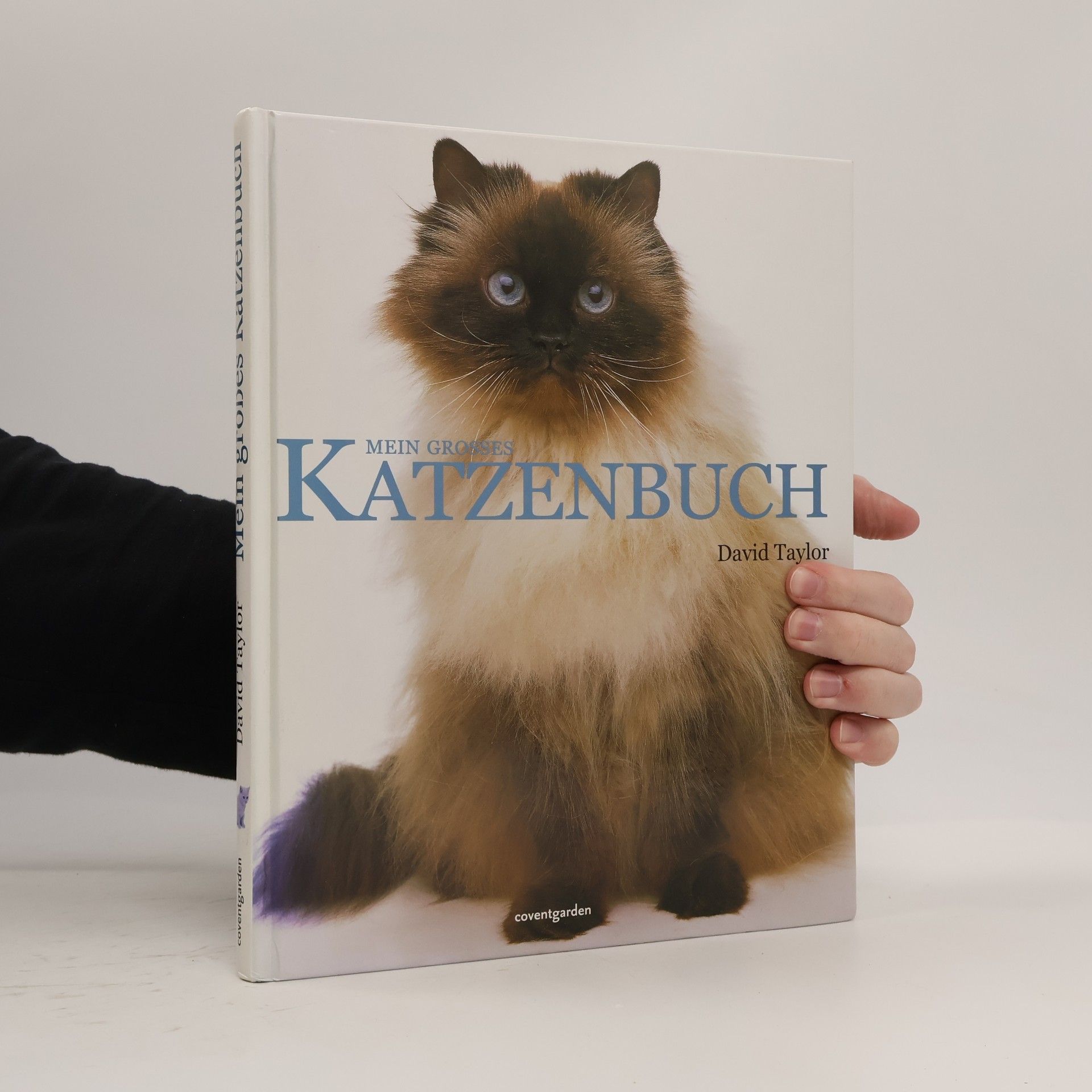 David Taylor Mein grosses Katzenbuch