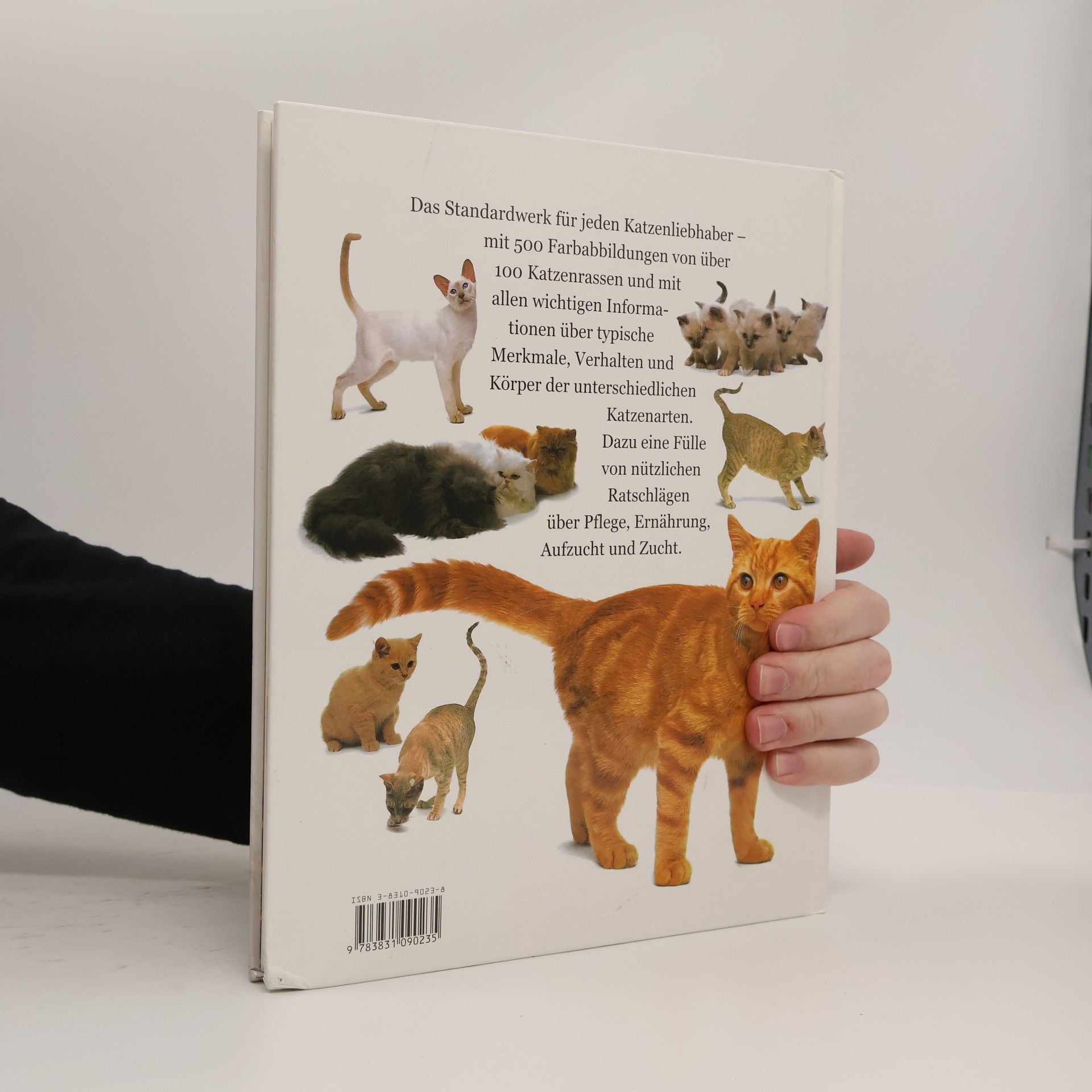 David Conrad Taylor Mein grosses Katzenbuch
