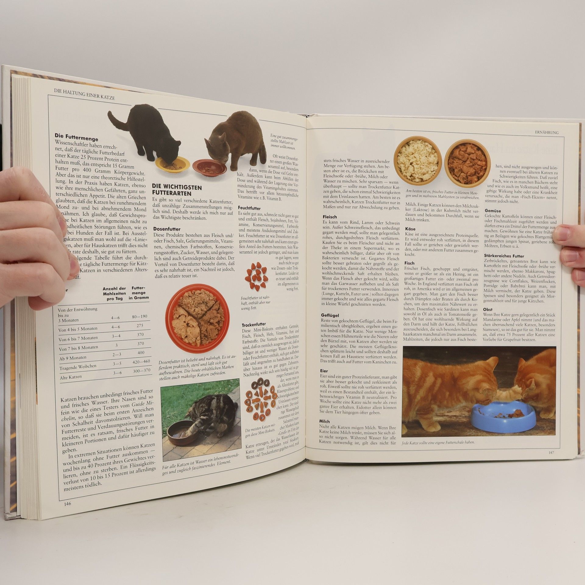 David Conrad Taylor Mein grosses Katzenbuch