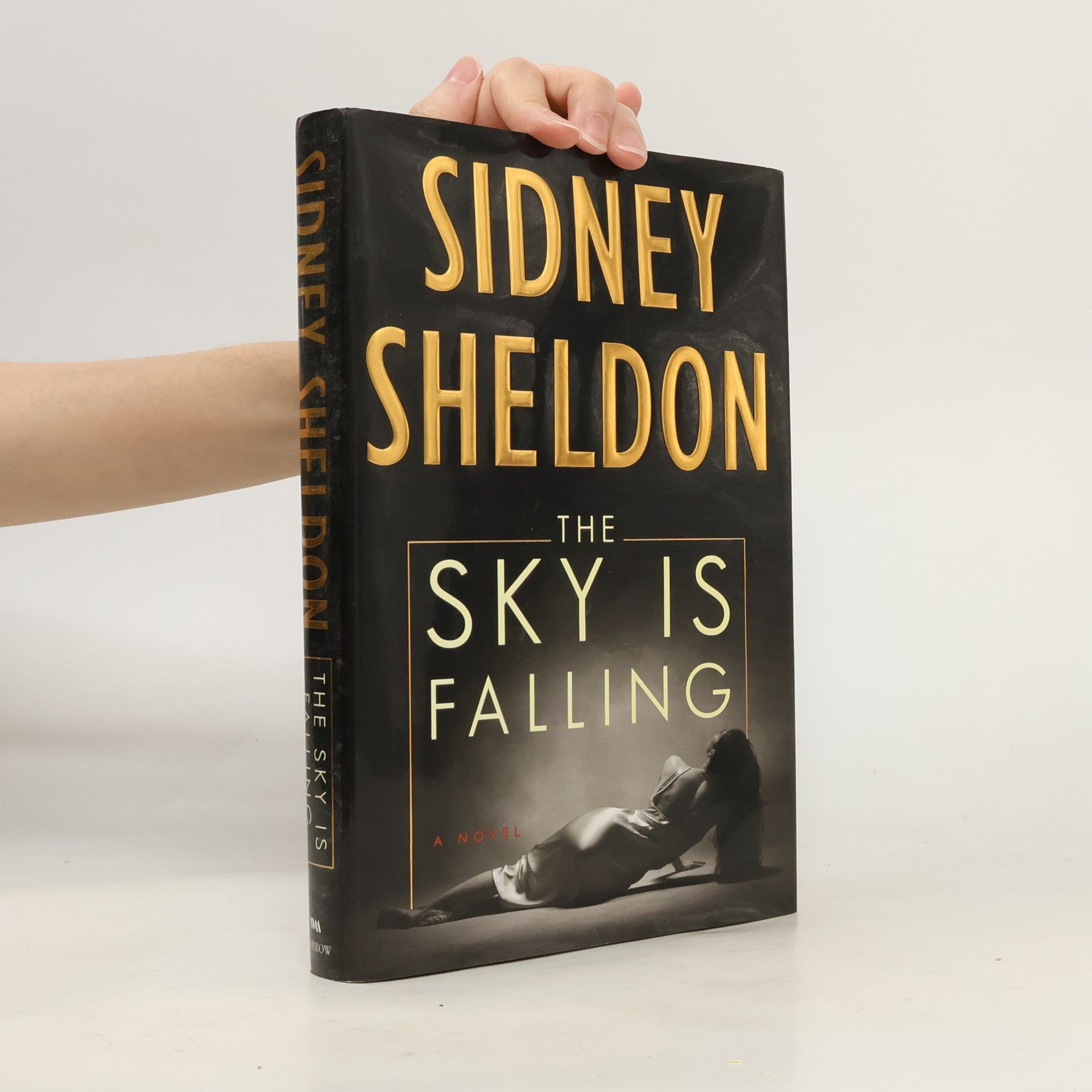 Sidney Sheldon The Sky Is Falling