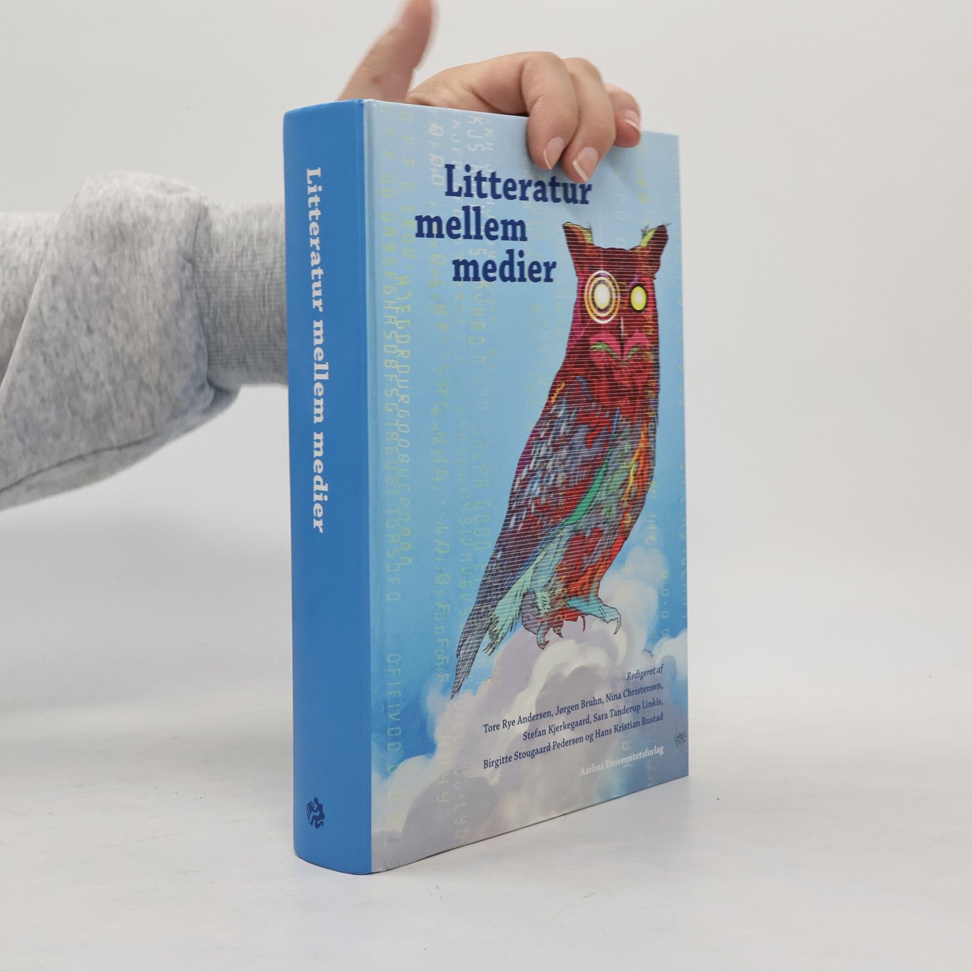 Nina Christensen Litteratur mellem medier