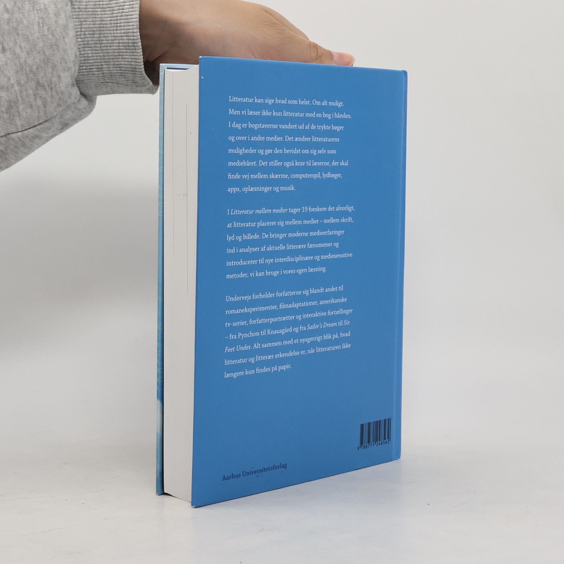 Tore Rye Andersen Litteratur mellem medier