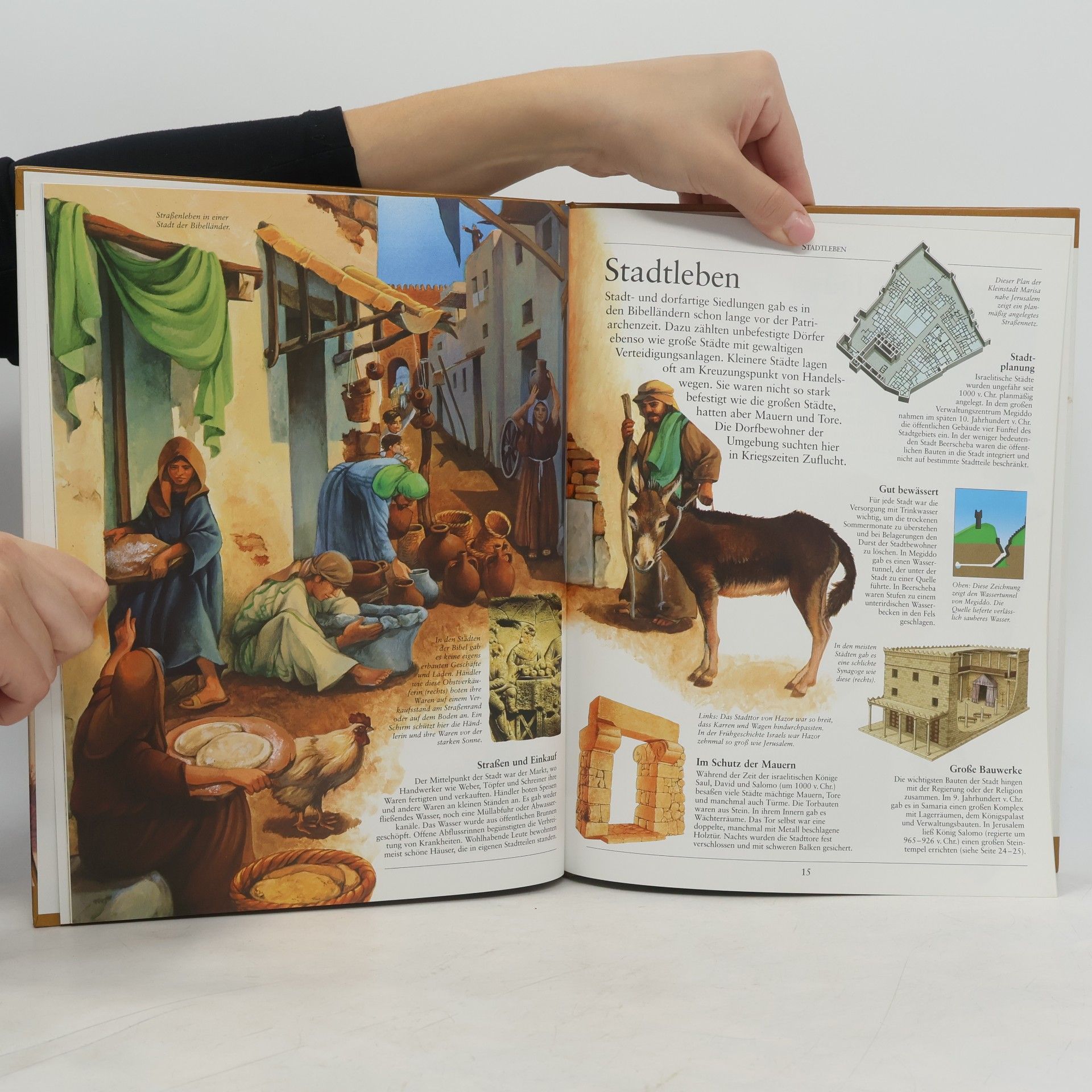 Cath Senker Länder der Bibel