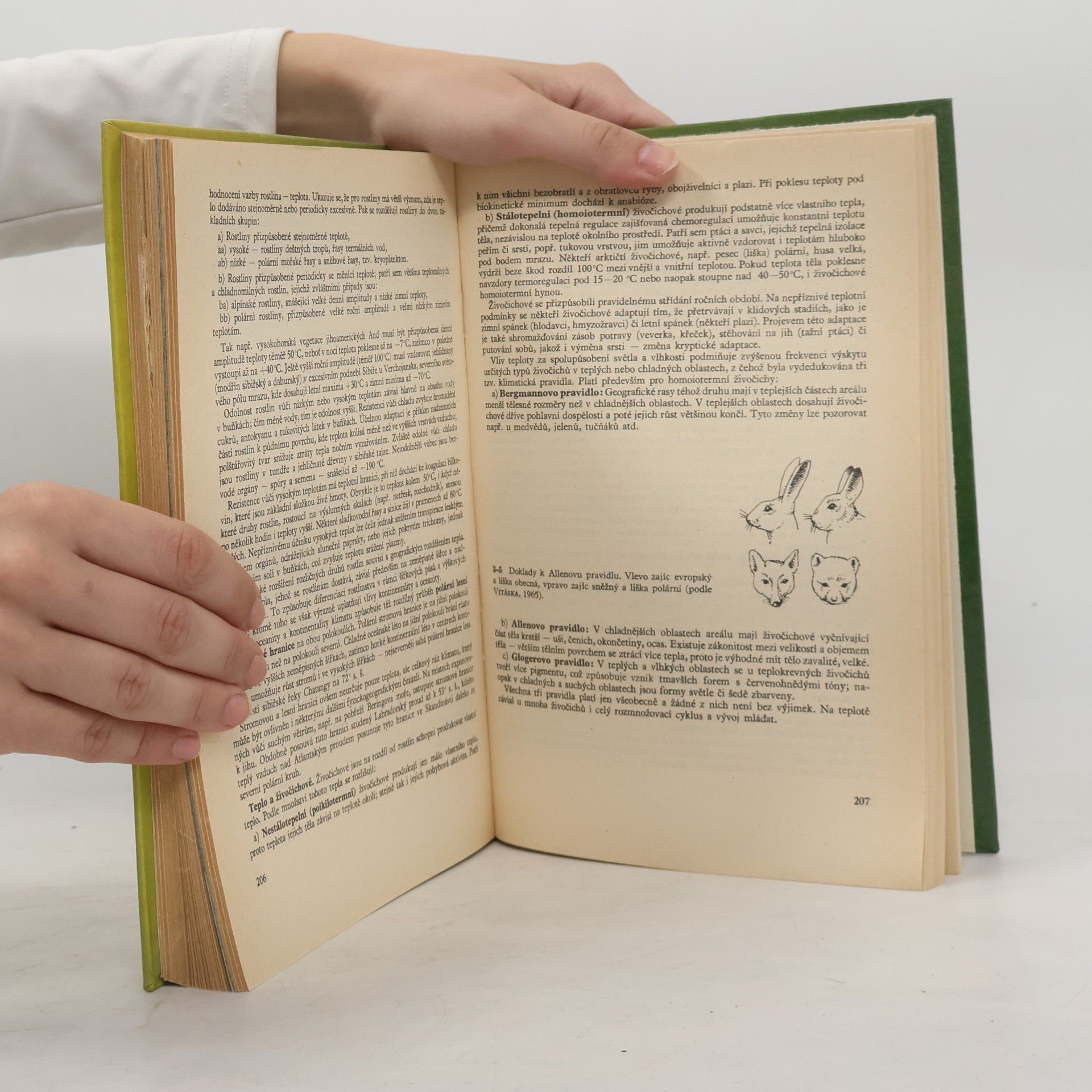 Stanislav Horník Fyzická geografie II.