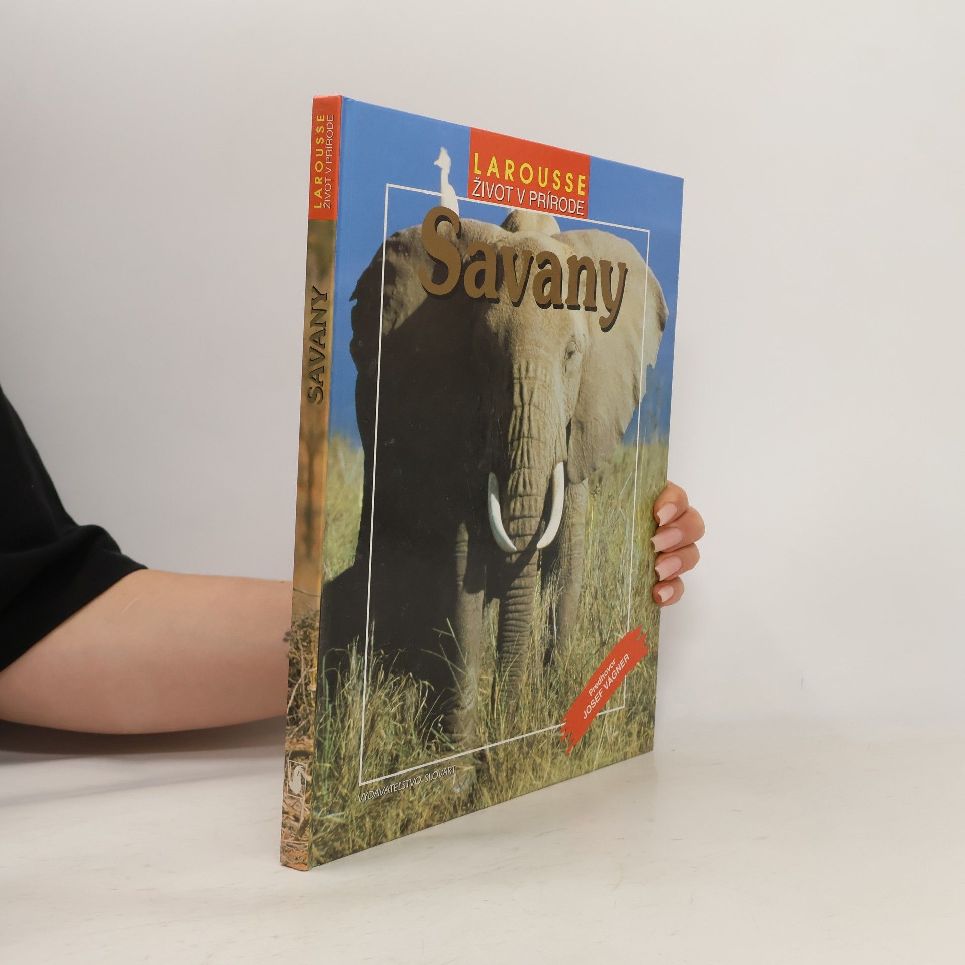 Kolektiv autorů Savany