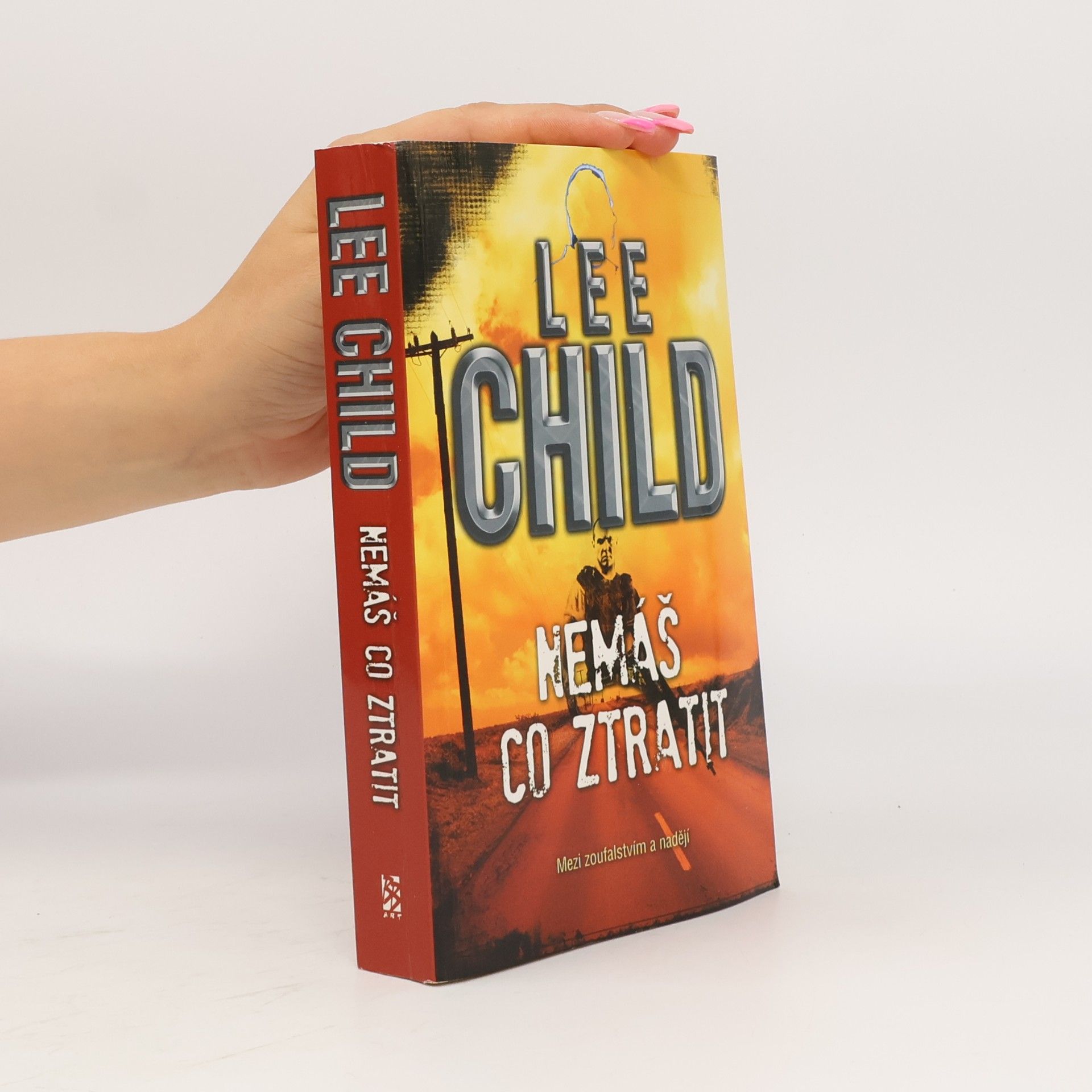 Lee Child Nemáš co ztratit
