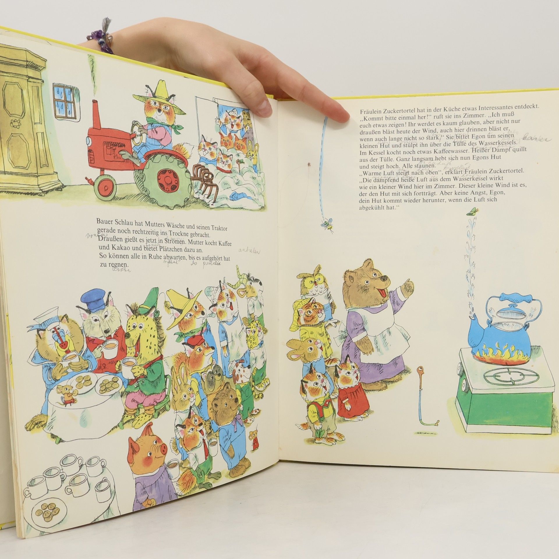 Richard Scarry Mein allerschönstes Buch von Flugzeug, Luft und Donnerwetter