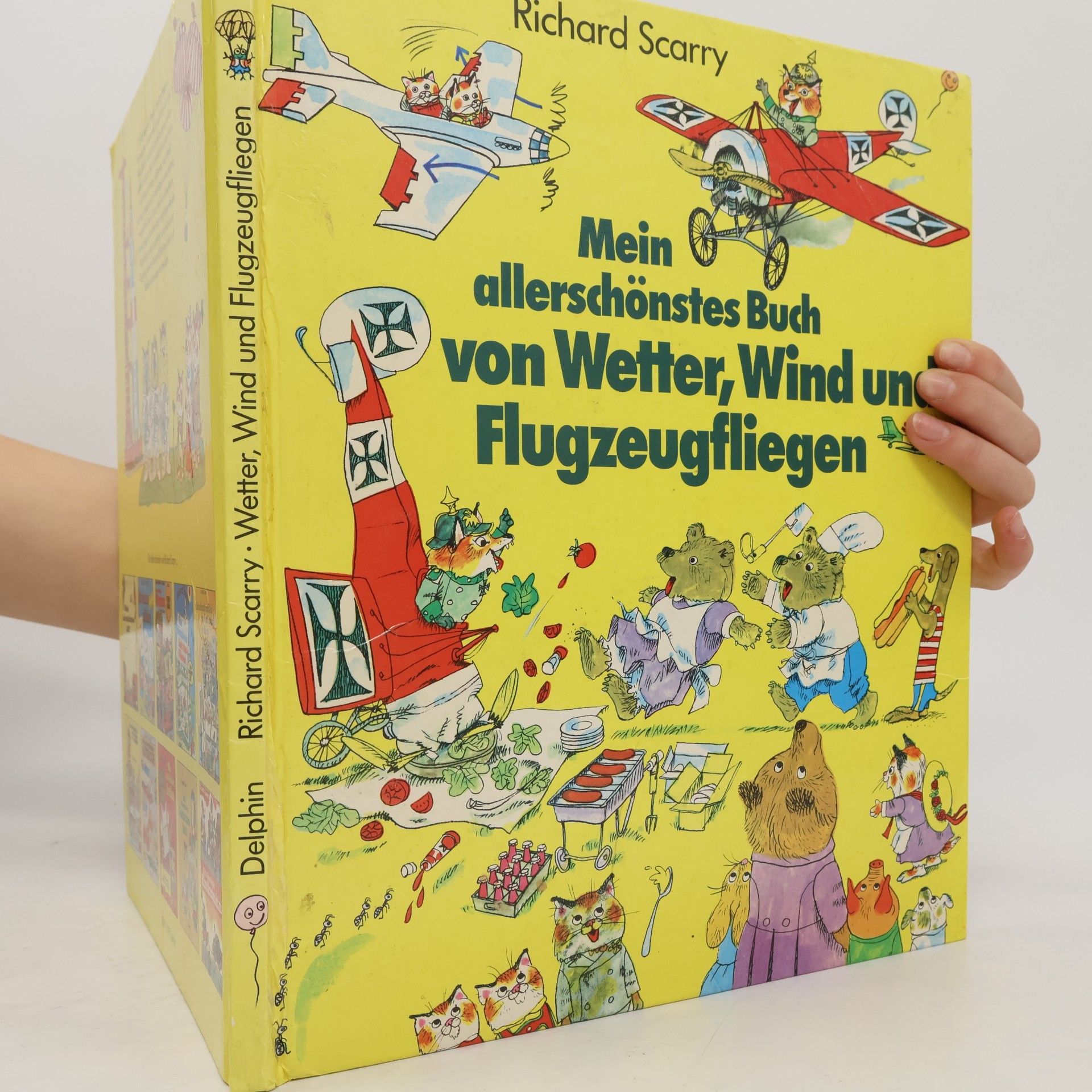 Richard Scarry Mein allerschönstes Buch von Flugzeug, Luft und Donnerwetter