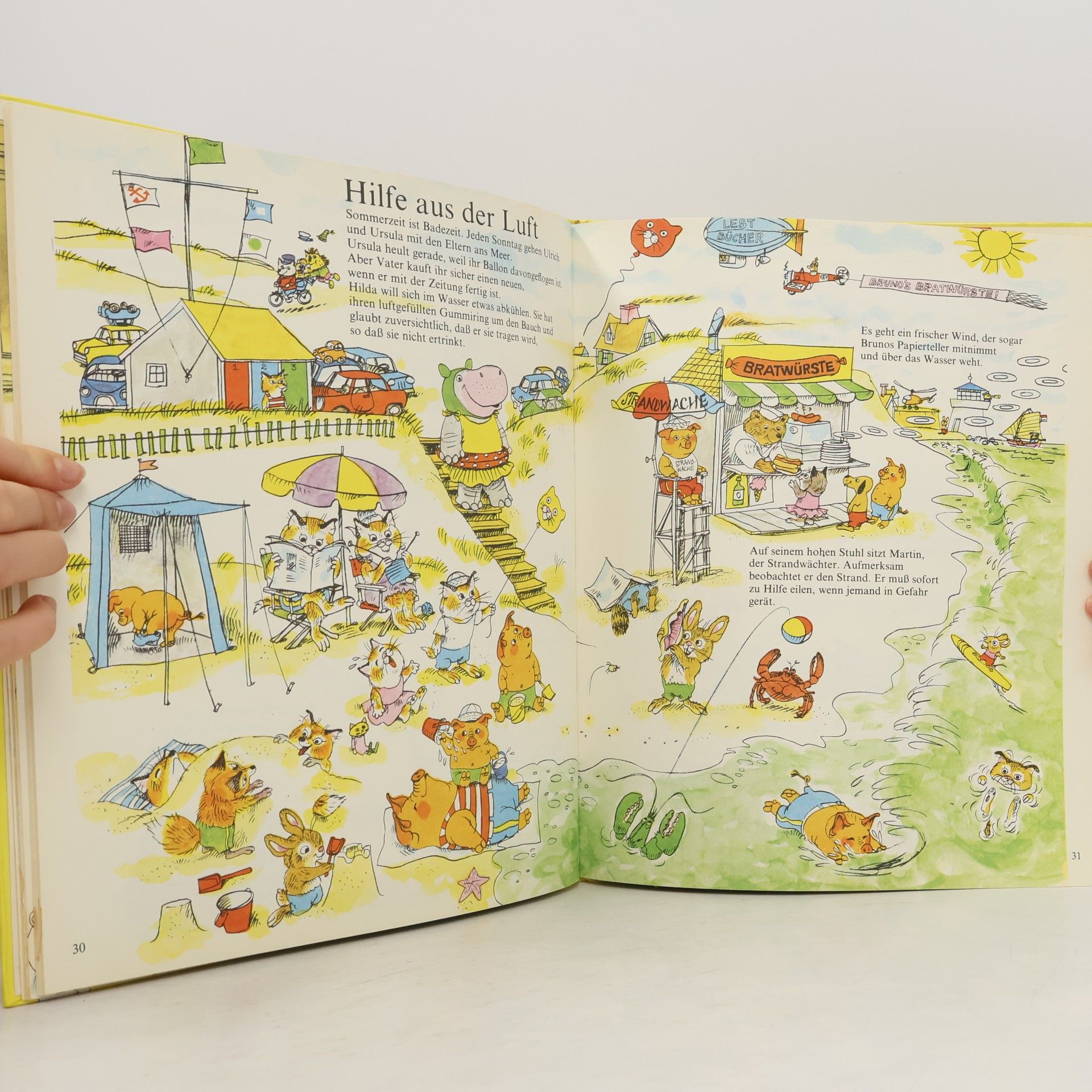 Richard Scarry Mein allerschönstes Buch von Flugzeug, Luft und Donnerwetter