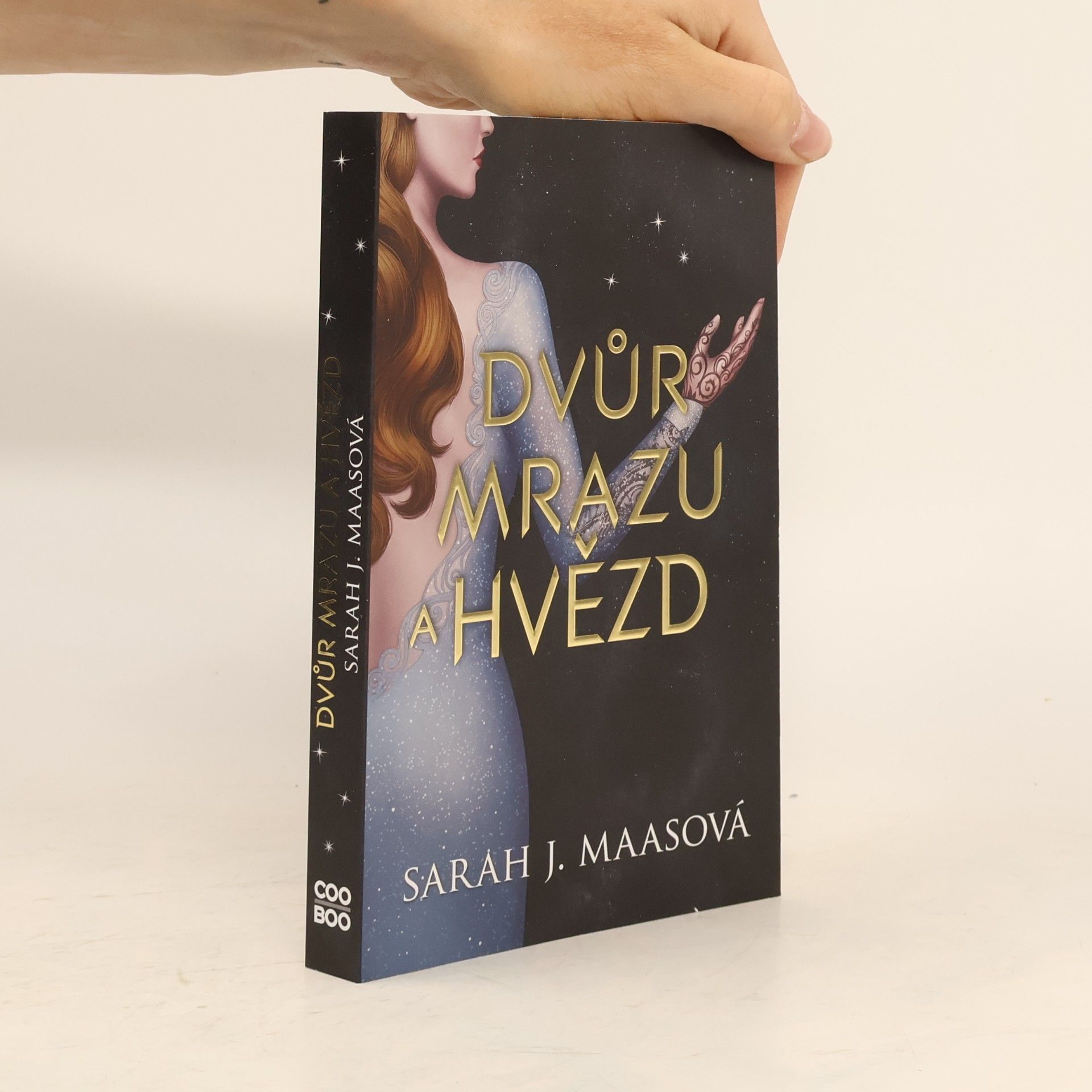 Sarah J. Maasová Dvůr mrazu a hvězd