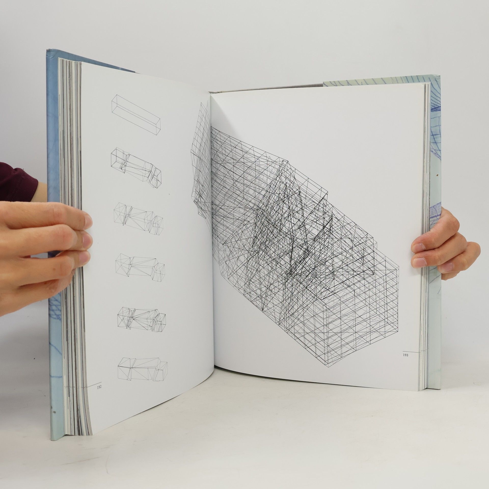 Peter Eisenman Blurred Zones: Investigations of the Interstitial: Eisenman Architects 1988-1998