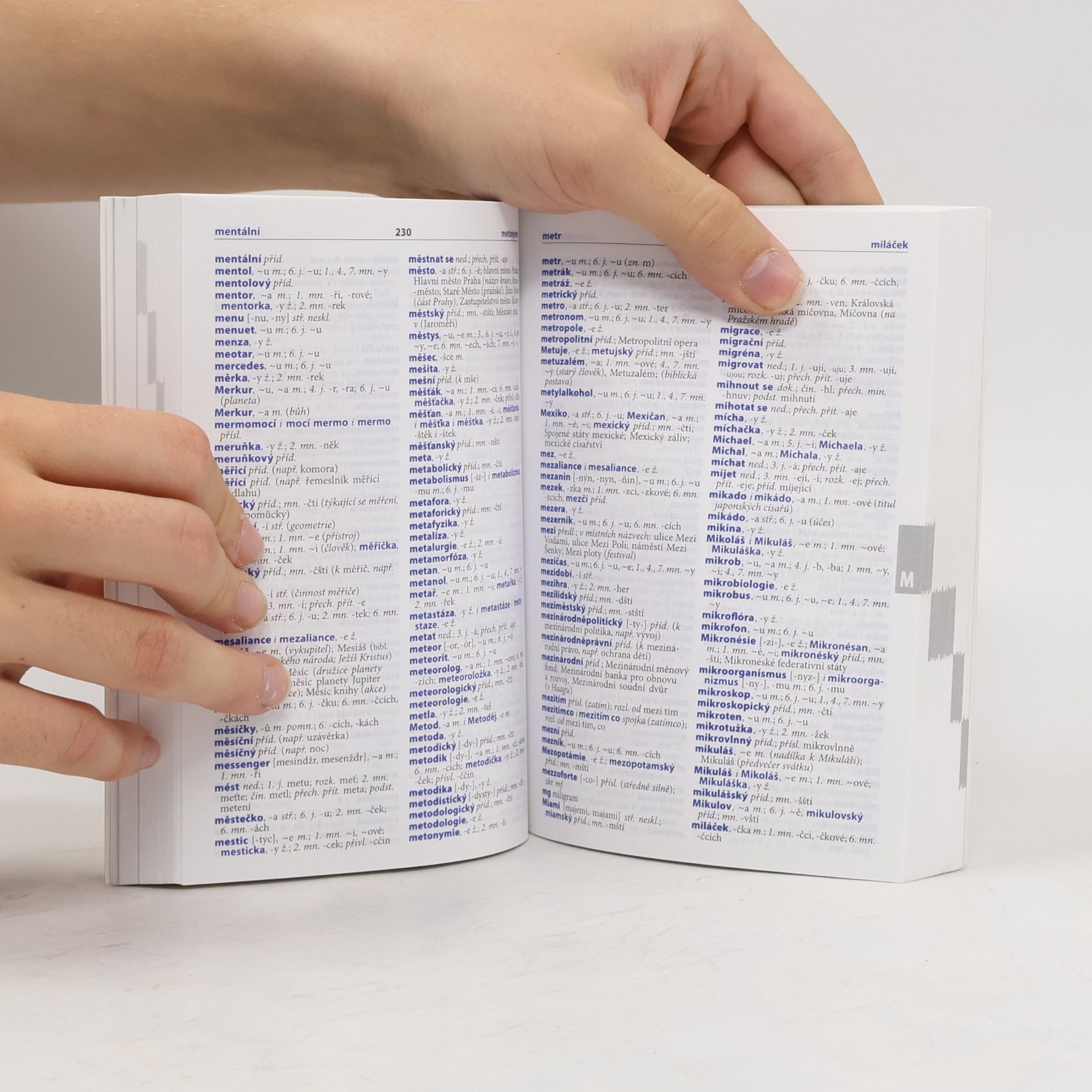 Autorenkollektiv Školní pravidla českého pravopisu