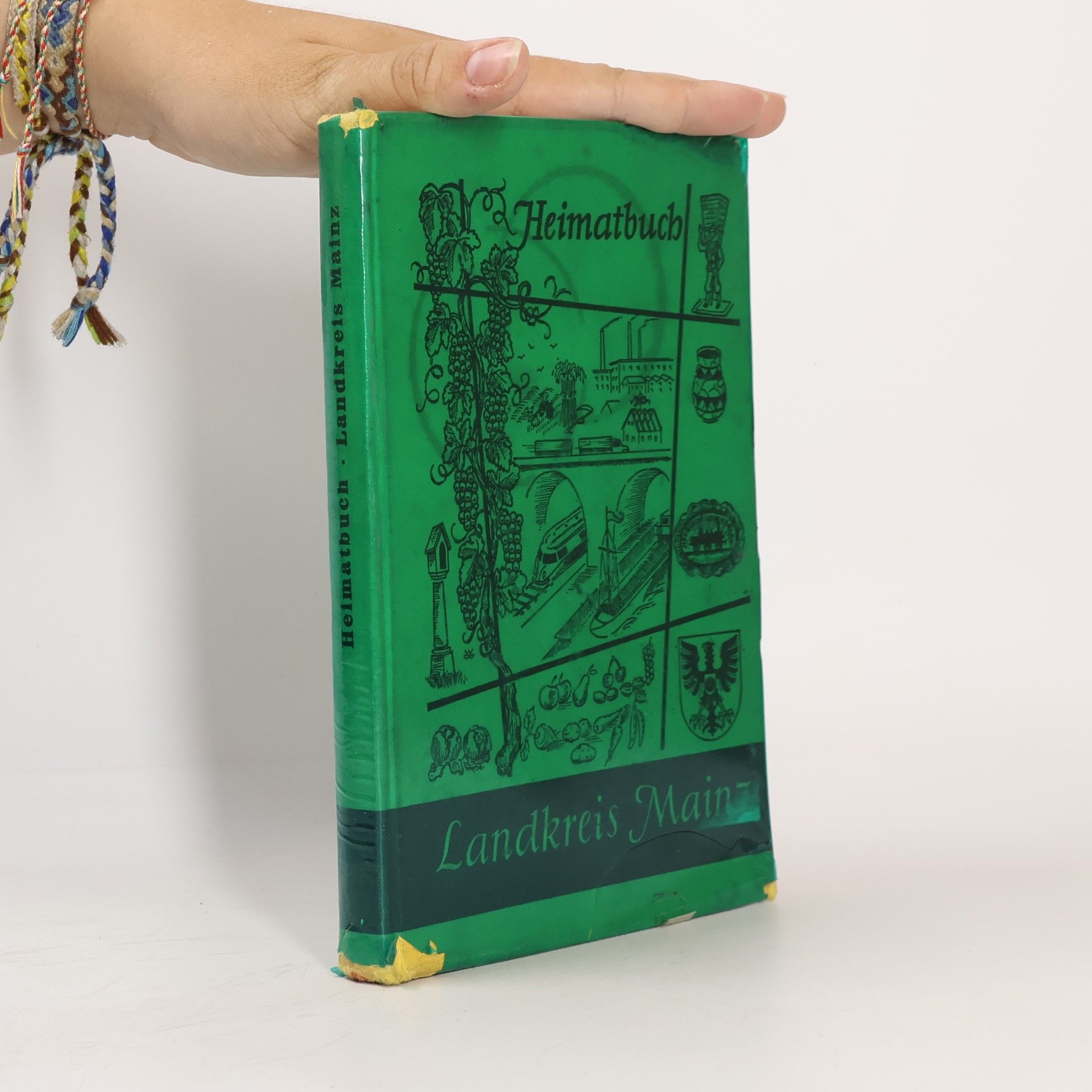Werner Lang Heimatbuch Landkreis Mainz