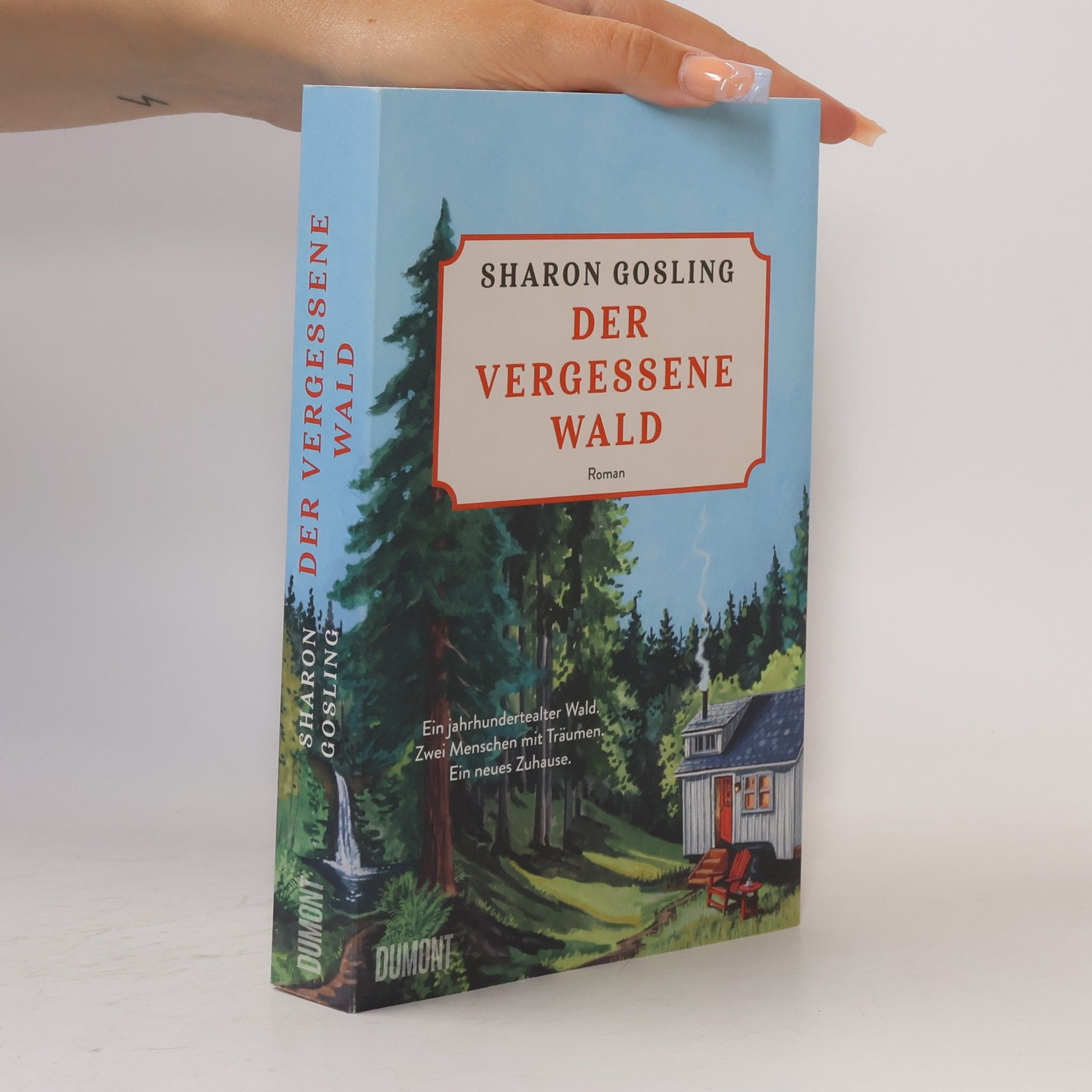 Der vergessene Wald