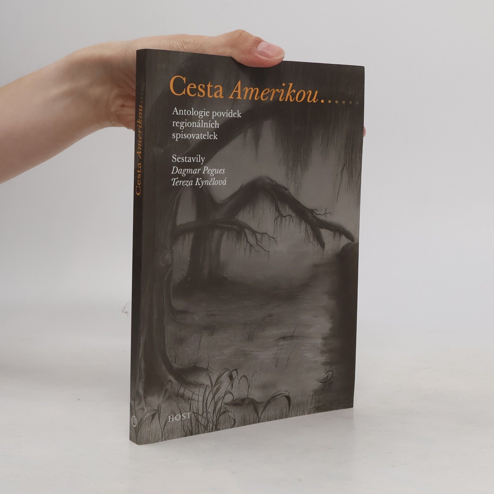 Tereza Jiroutová Kynčlová Cesta Amerikou