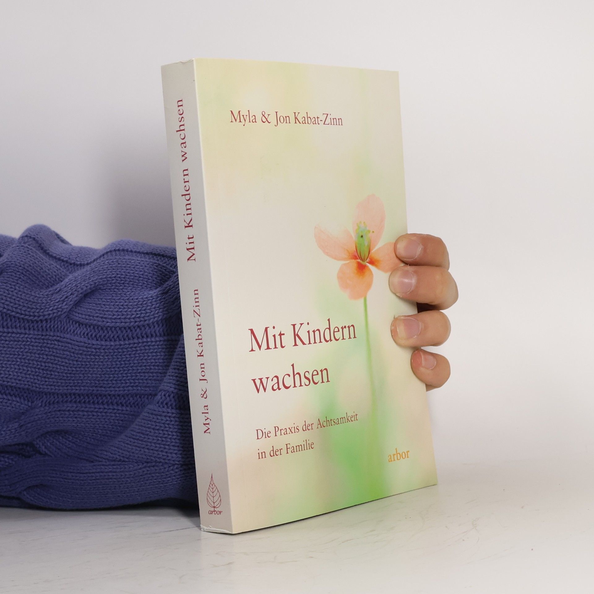 Myla Kabat zinn Mit Kindern wachsen