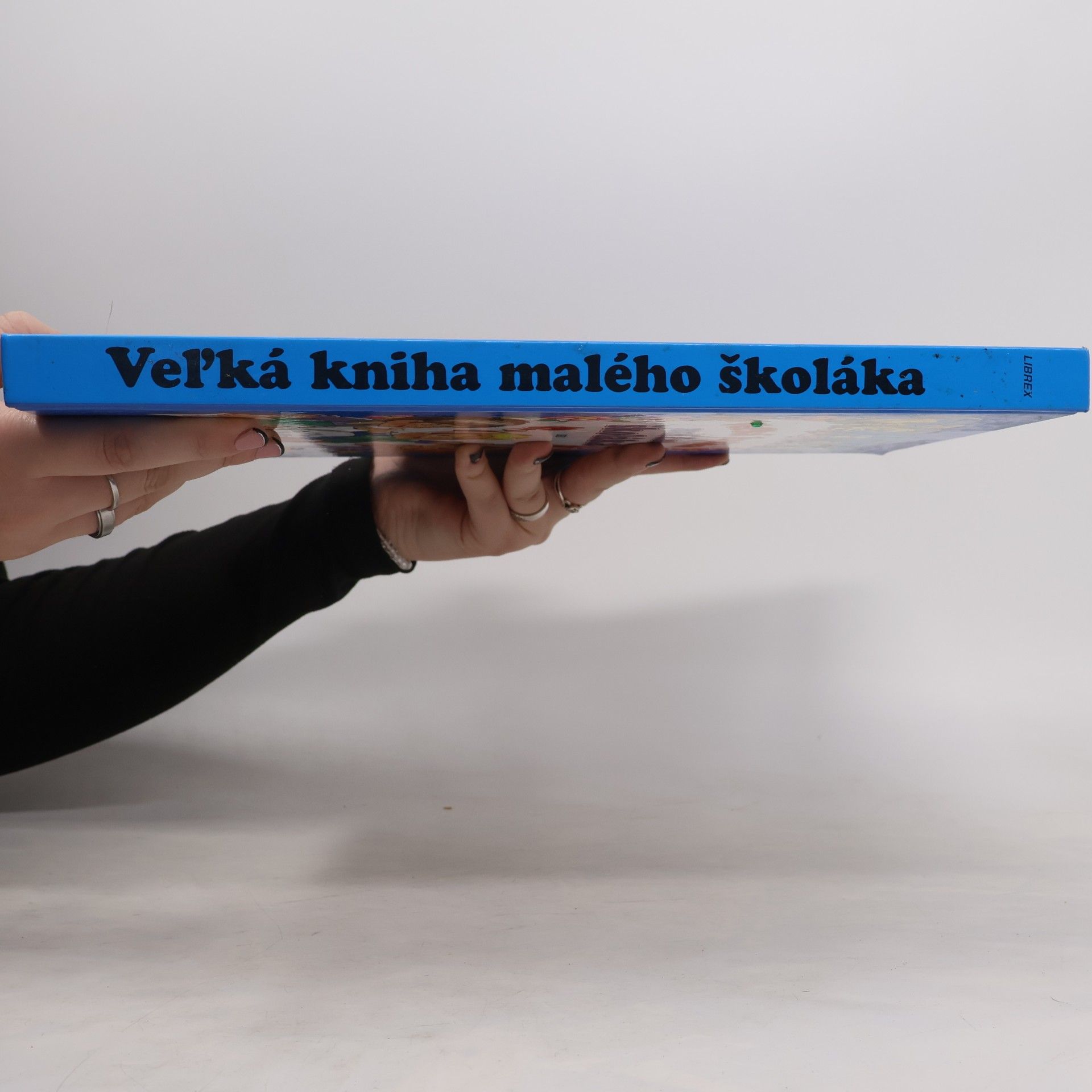 Autores varios Veľká kniha malého školáka