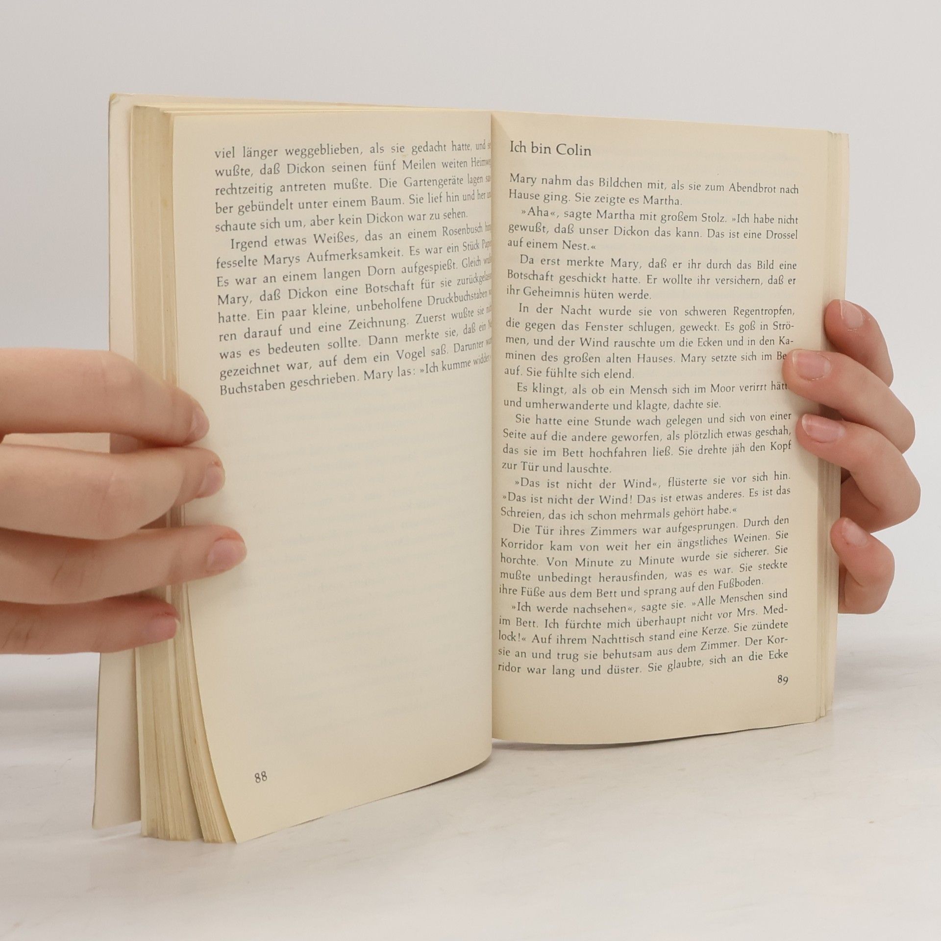 Frances Hodgson Burnett Der geheime Garten