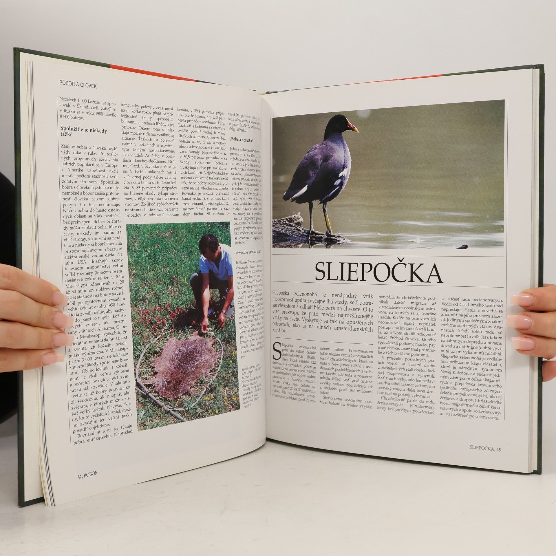 Kolektív autorov Rieky