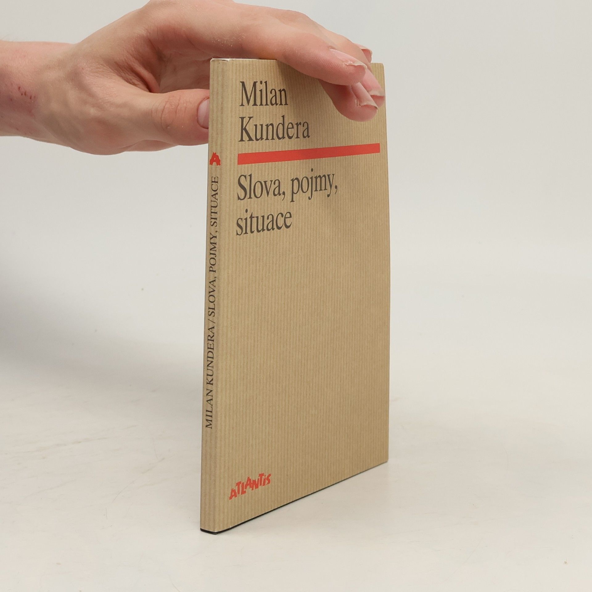Milan Kundera Slova, pojmy, situace