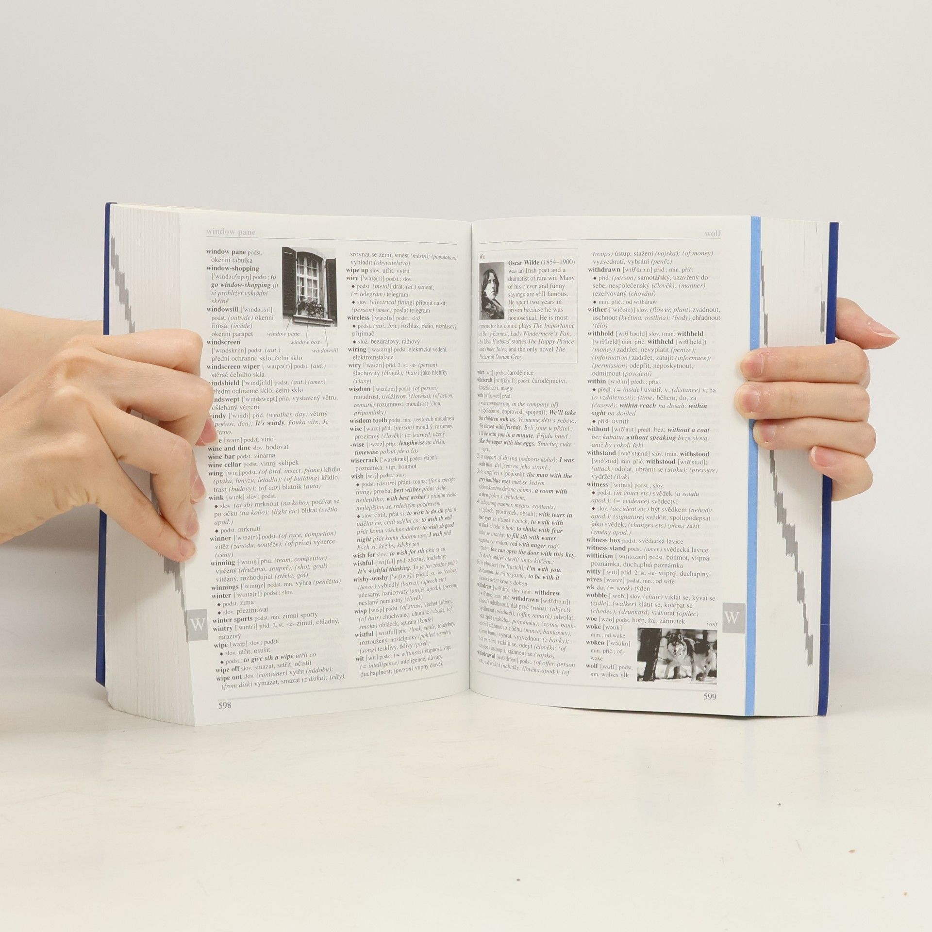 Autores varios Ilustrovaný studijní slovník anglicko-český, česko-anglický