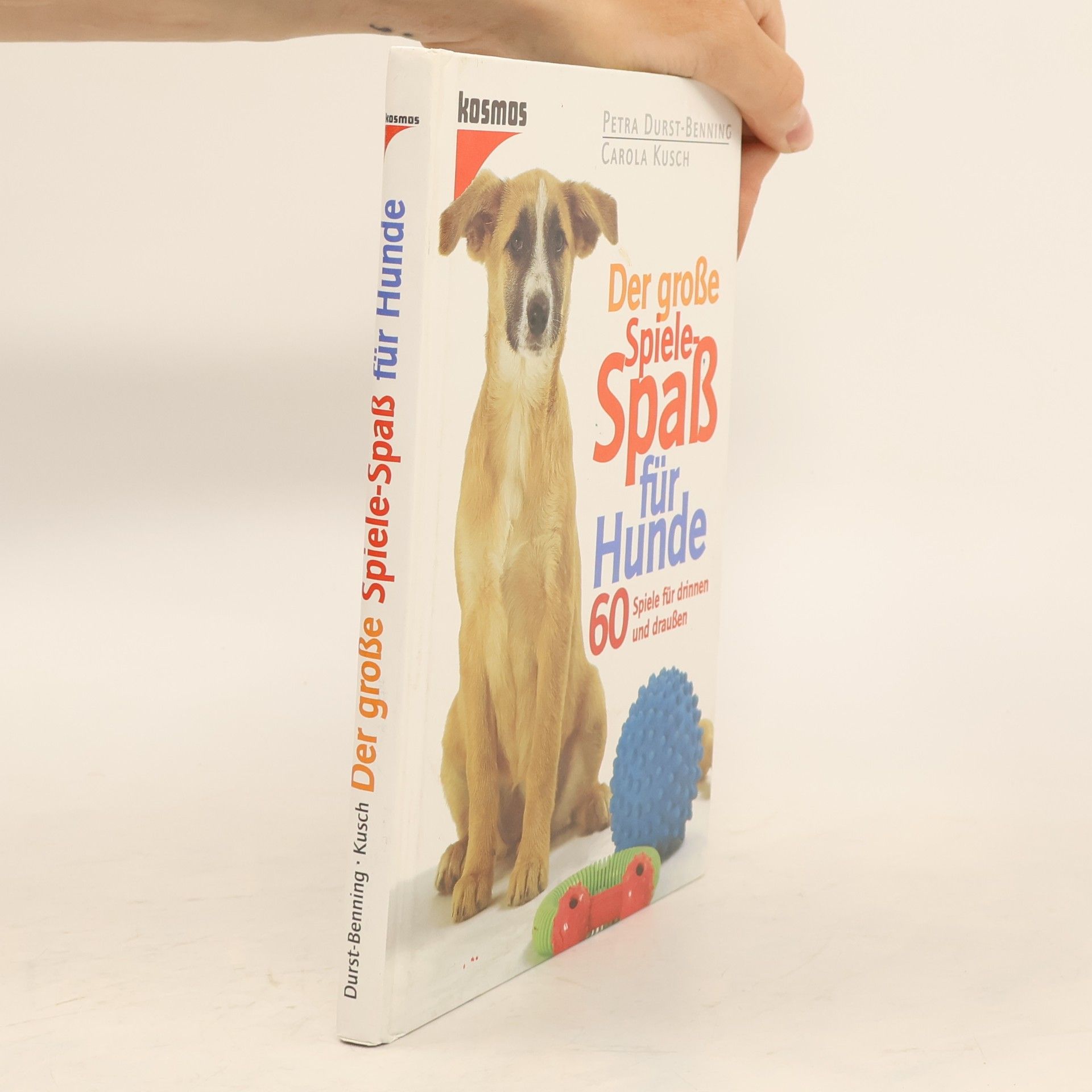 Der große Spiele-Spaß für Hunde