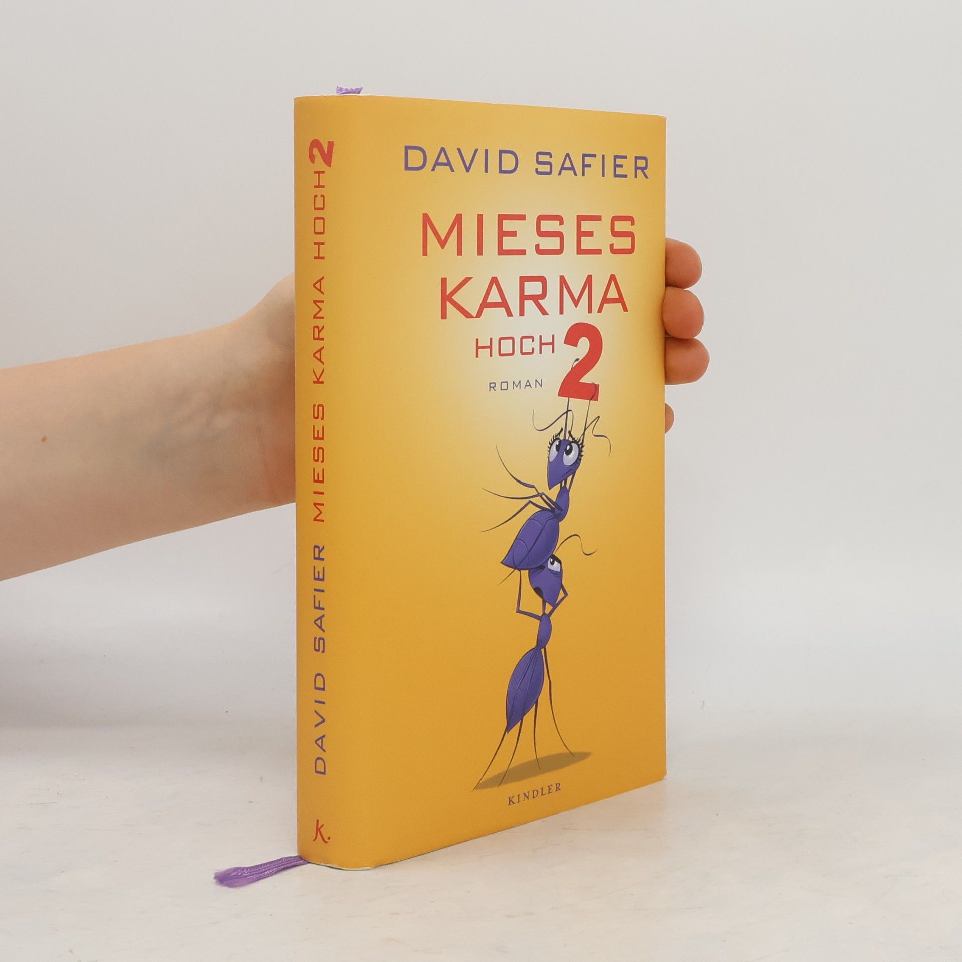 David Safier Mieses Karma hoch 2