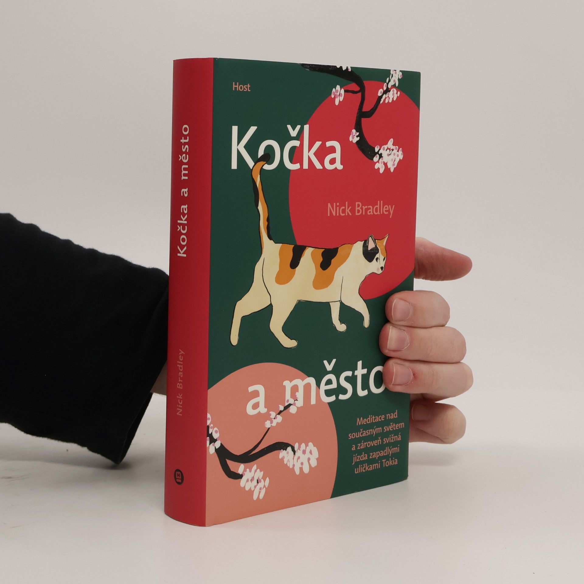 Nick Bradley Kočka a město