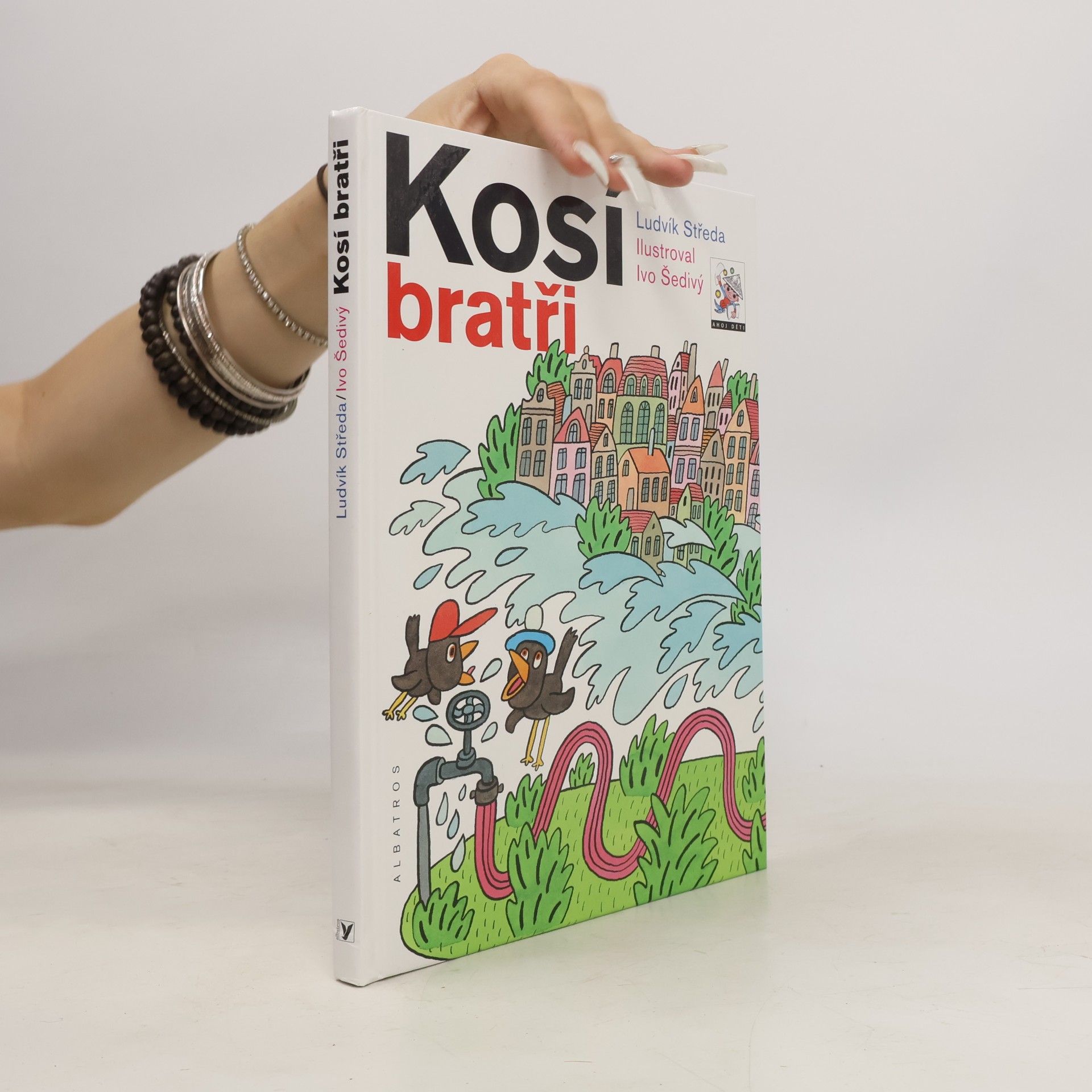 Ludvík Středa Kosí bratři