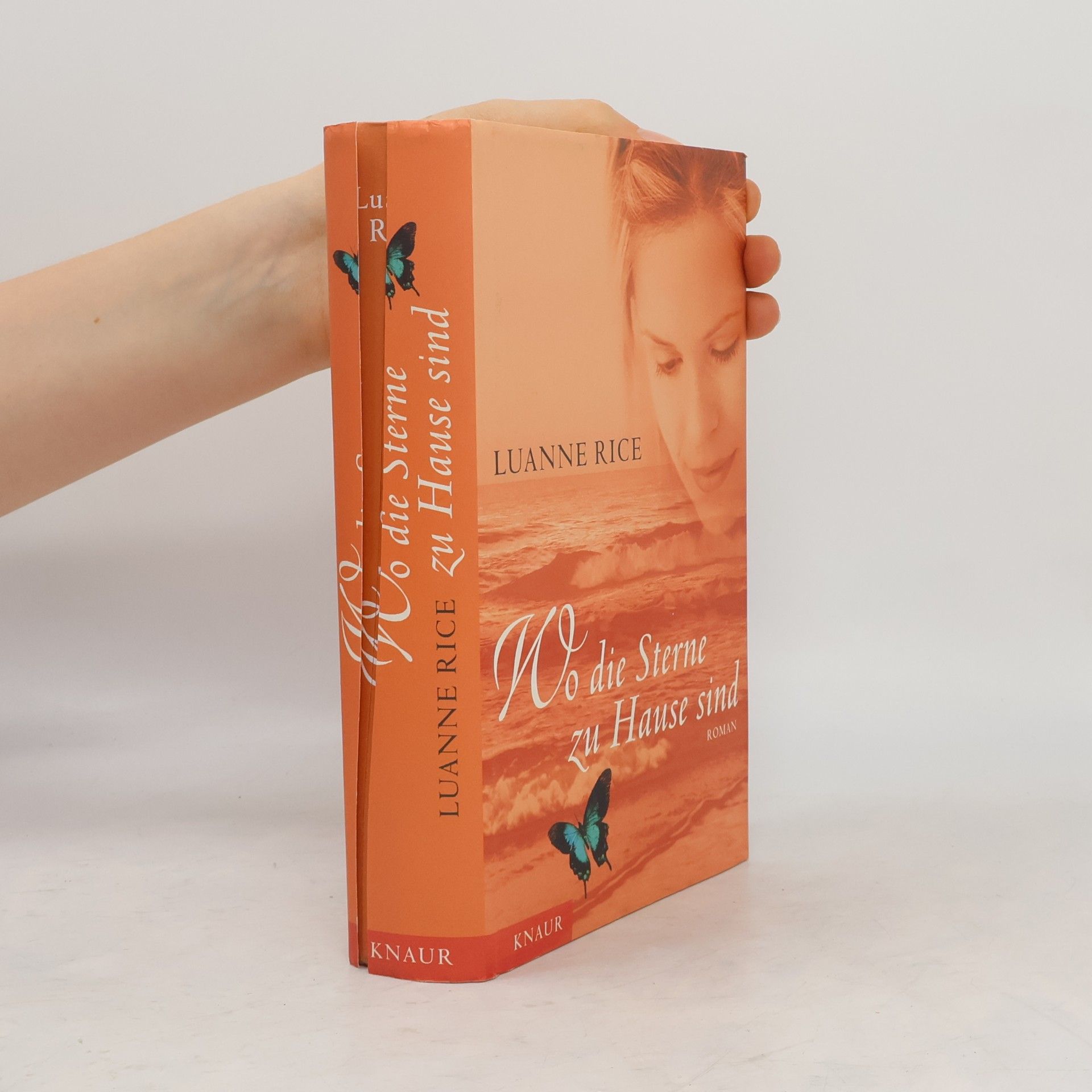 Luanne Rice Wo die Sterne zu Hause sind