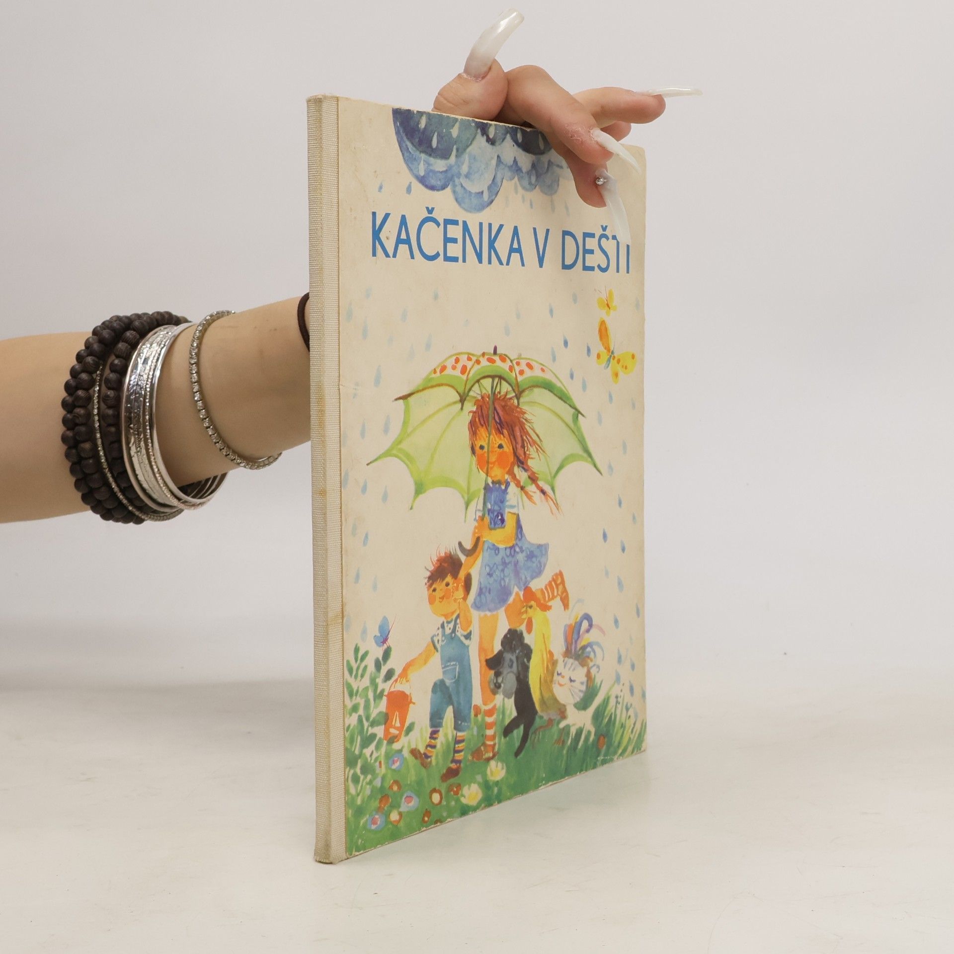 Collectif d'auteurs Kačenka v dešti