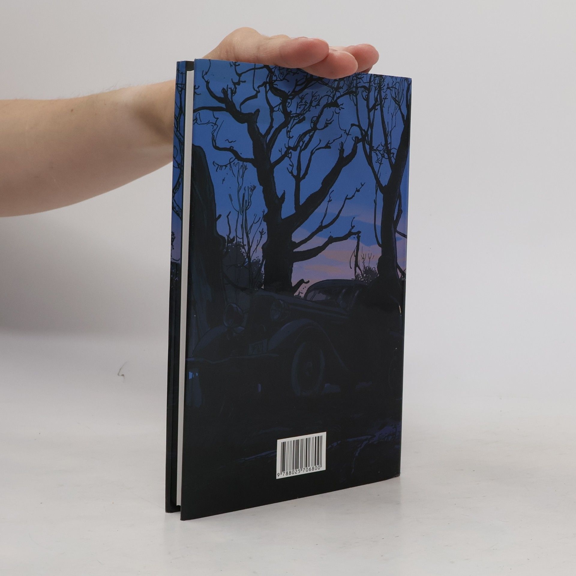 Cormac McCarthy Strážce sadu