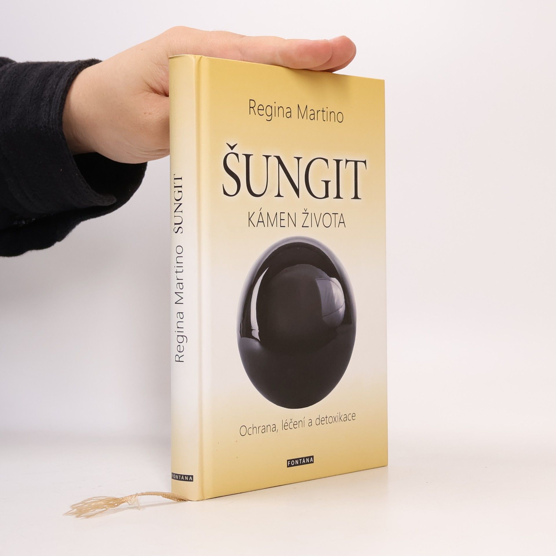 Regina Martino Šungit : kámen života : ochrana, léčení a detoxikace