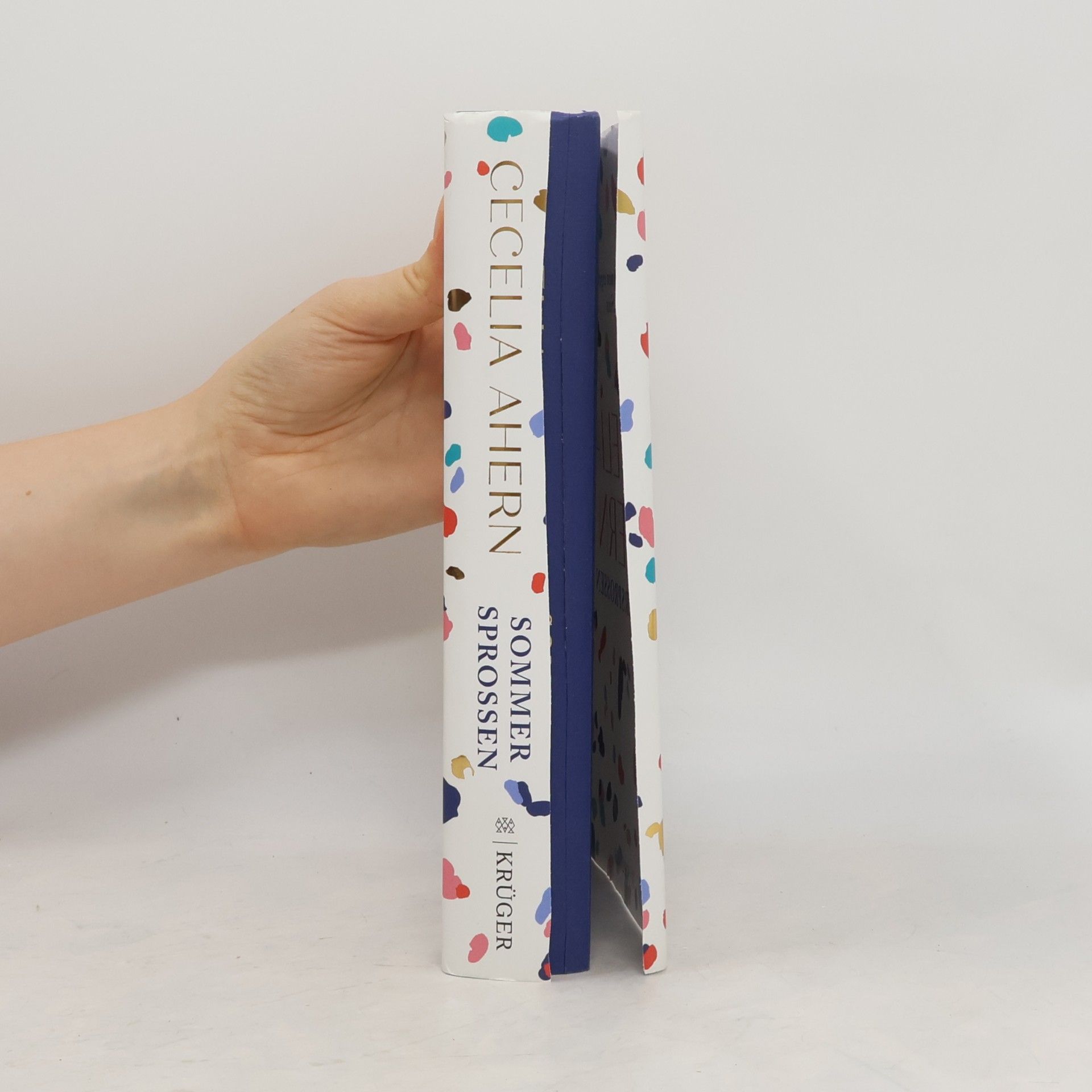 Cecelia Ahern Sommersprossen