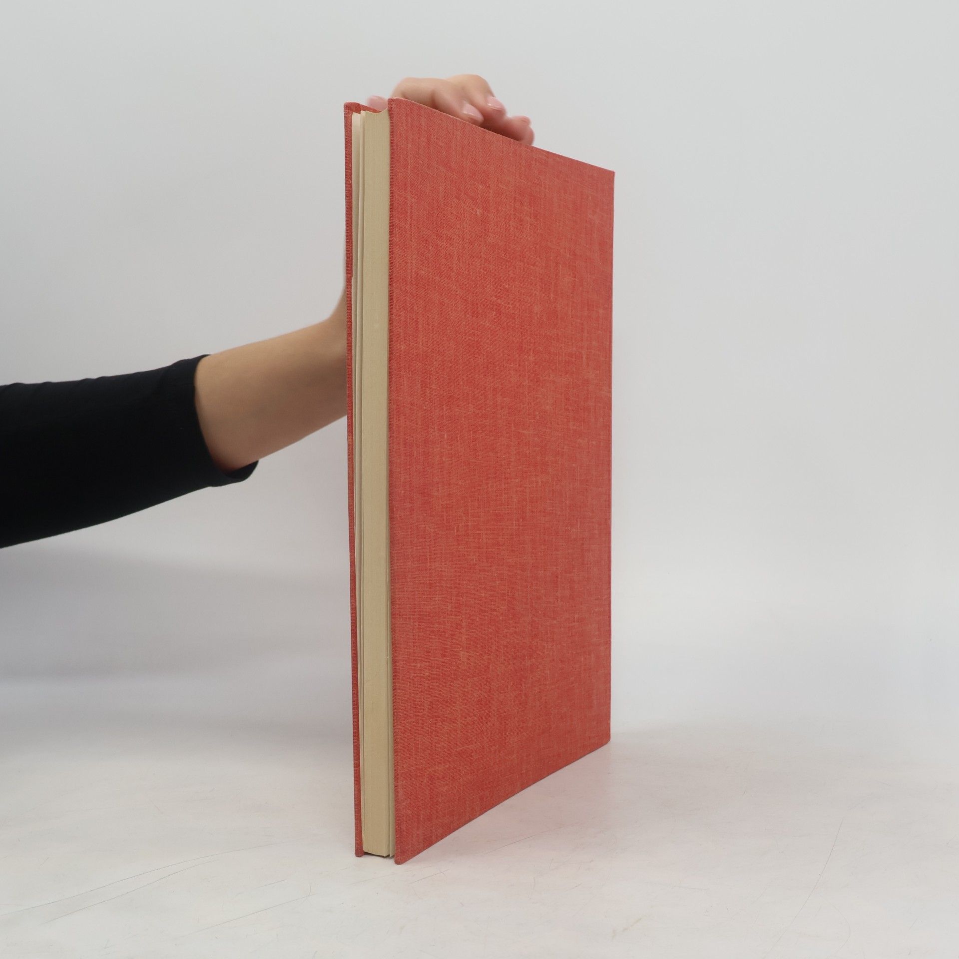 kolektiv Mainzer Zeitschrift