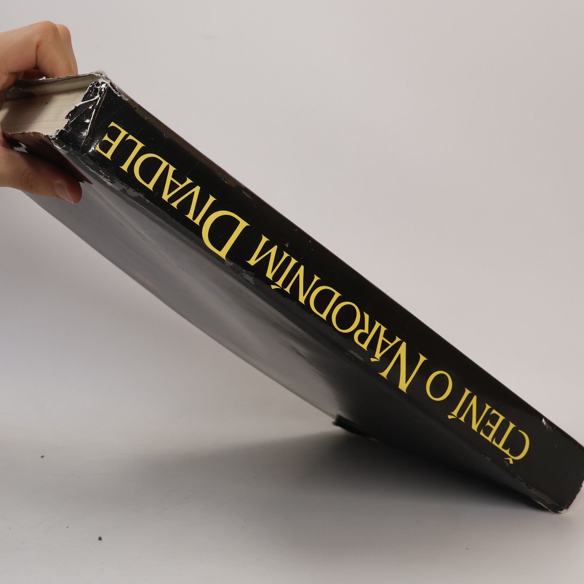 Hana Konečná Čtení o Národním divadle